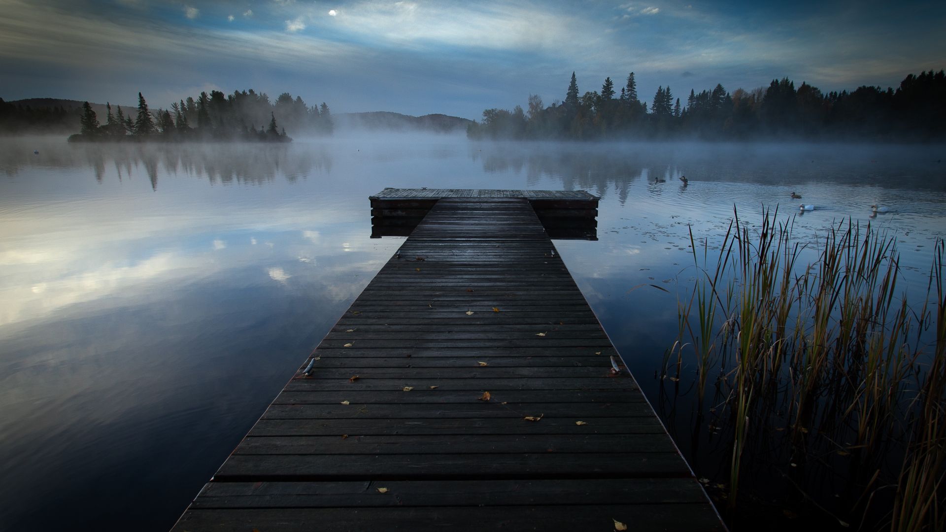 Docks At Night Wallpapers