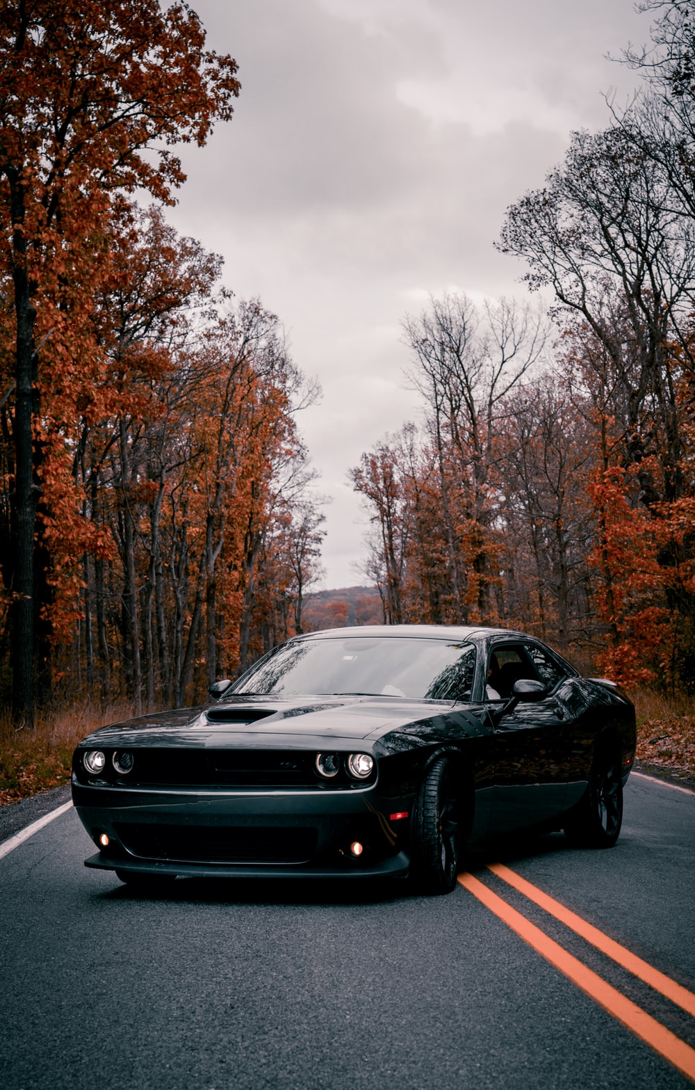 Dodge Challenger 4K Wallpapers