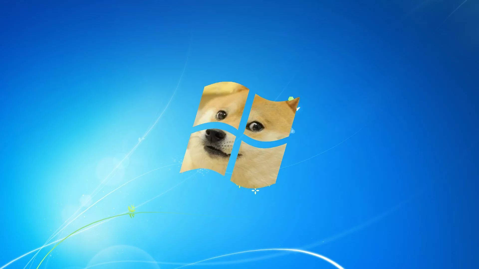 Dog Meme Wallpapers