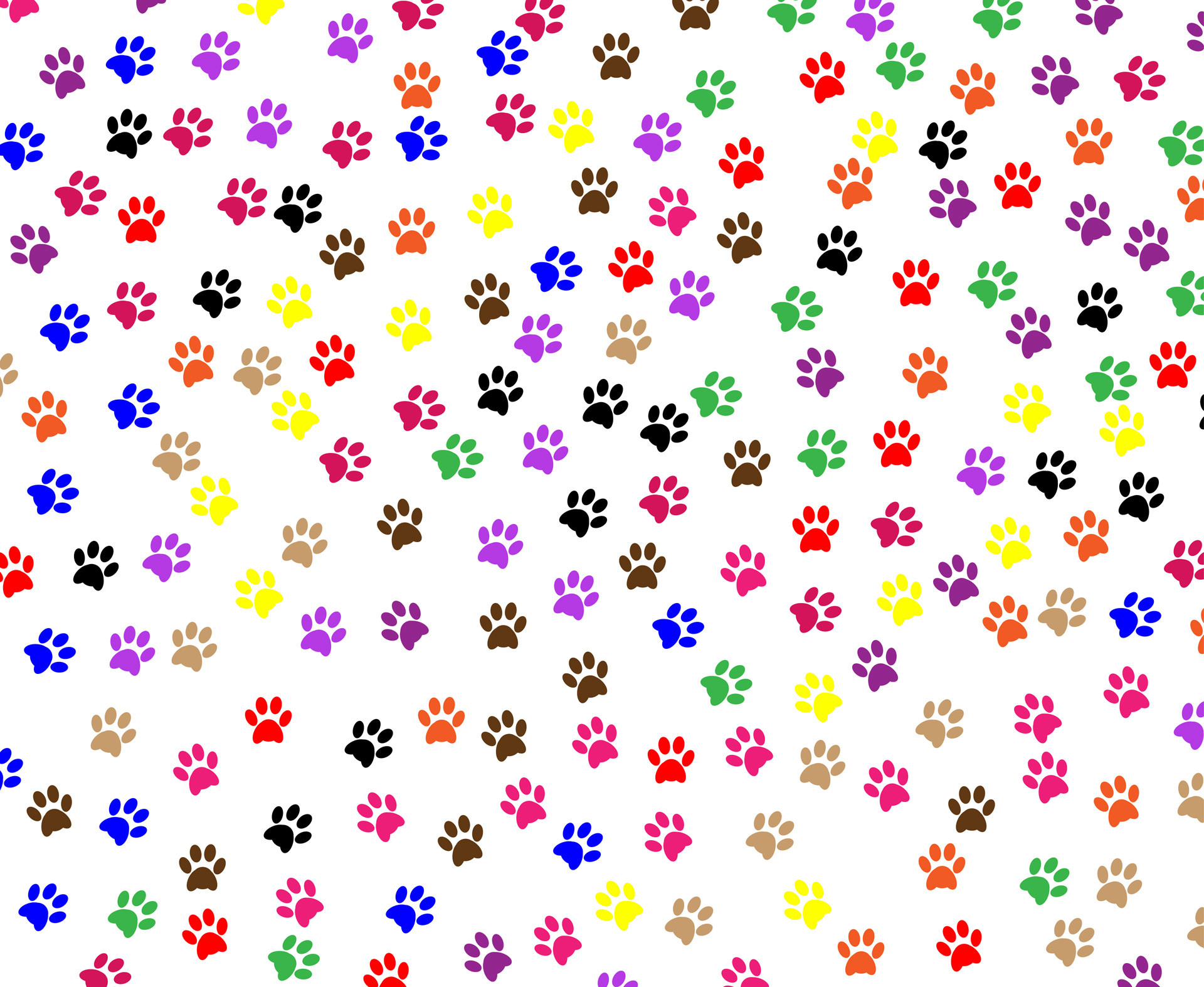 Dog Paw Wallpapers