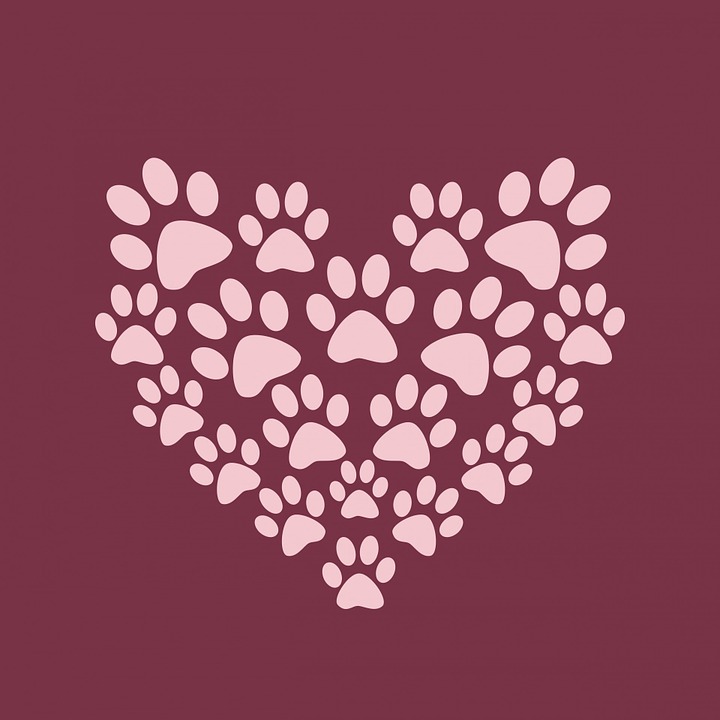 Dog Paw Wallpapers