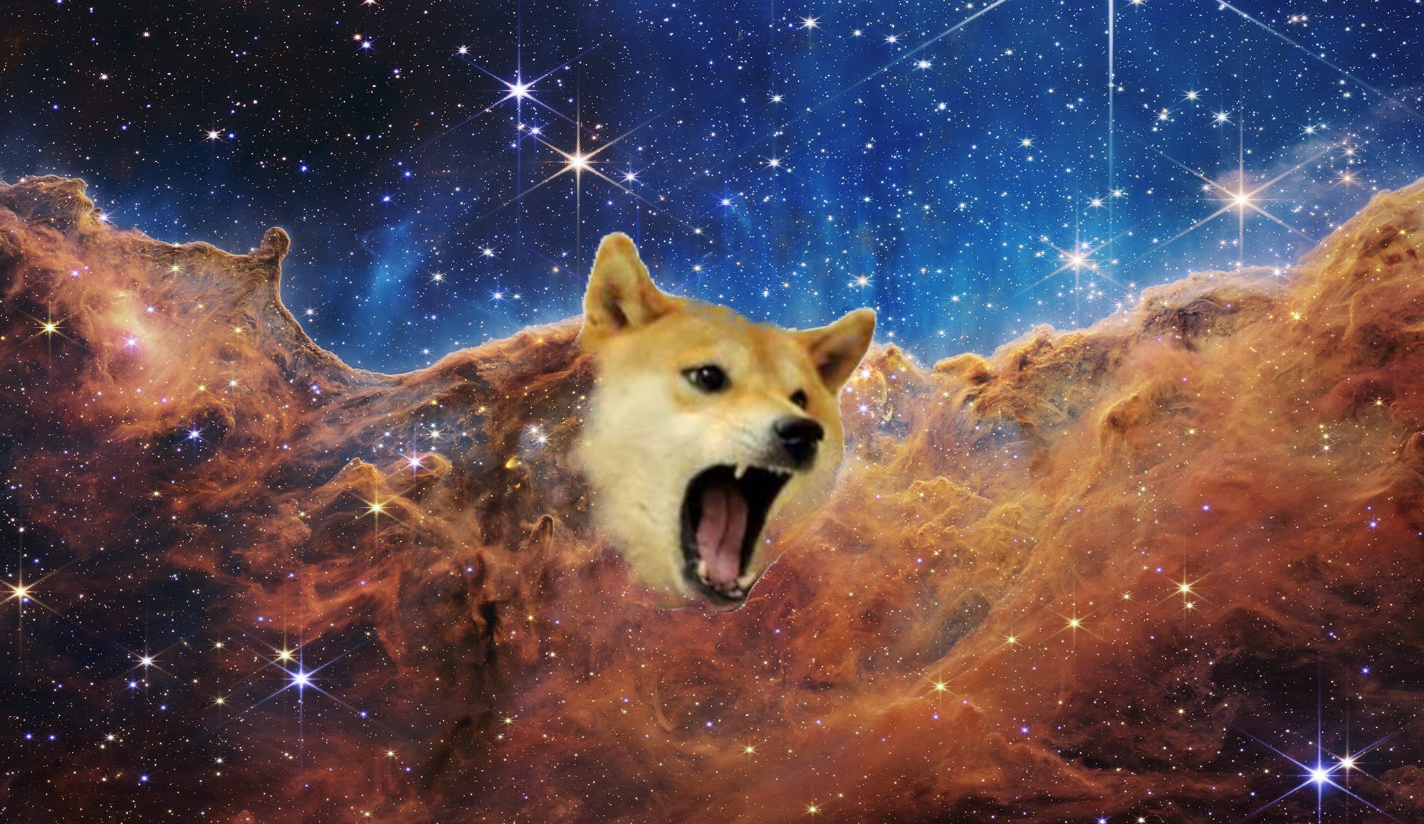 Dog With Garlic On Head In Space Wallpapers