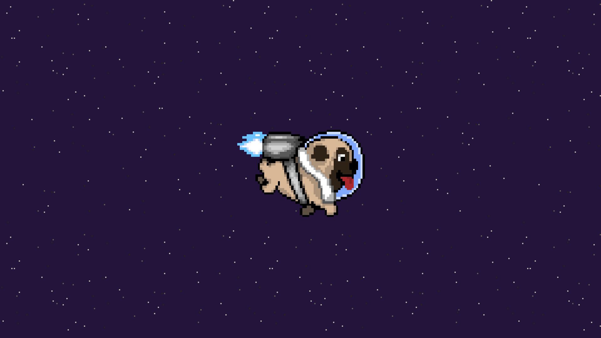 Dog With Garlic On Head In Space Wallpapers