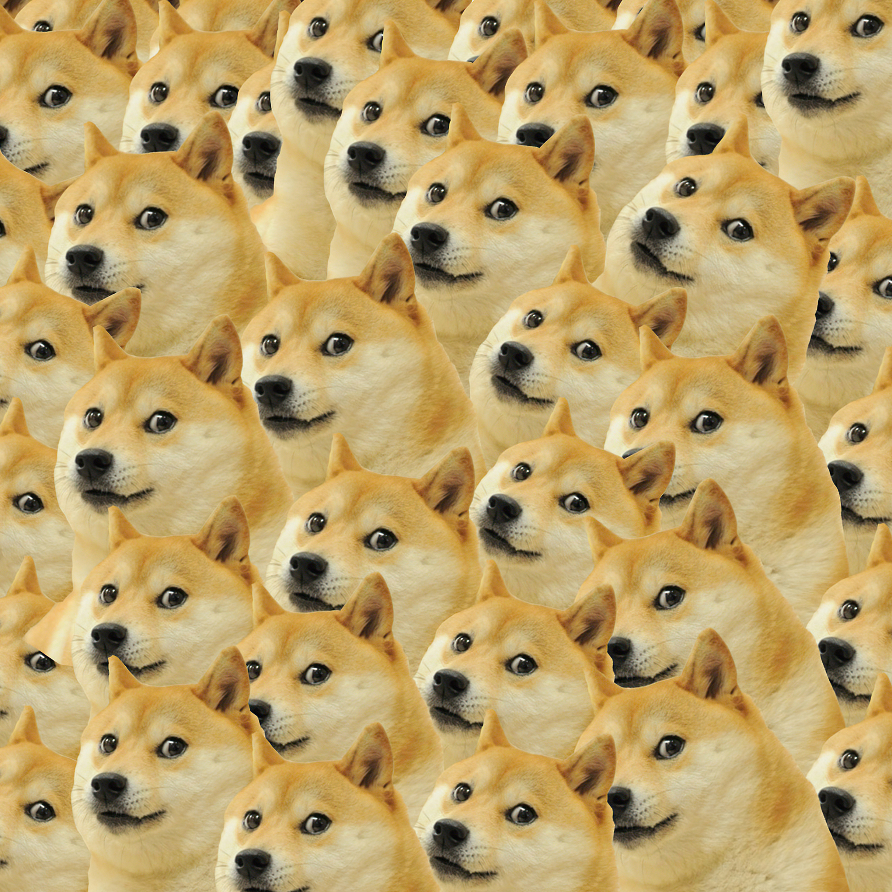 Doge Live Wallpapers