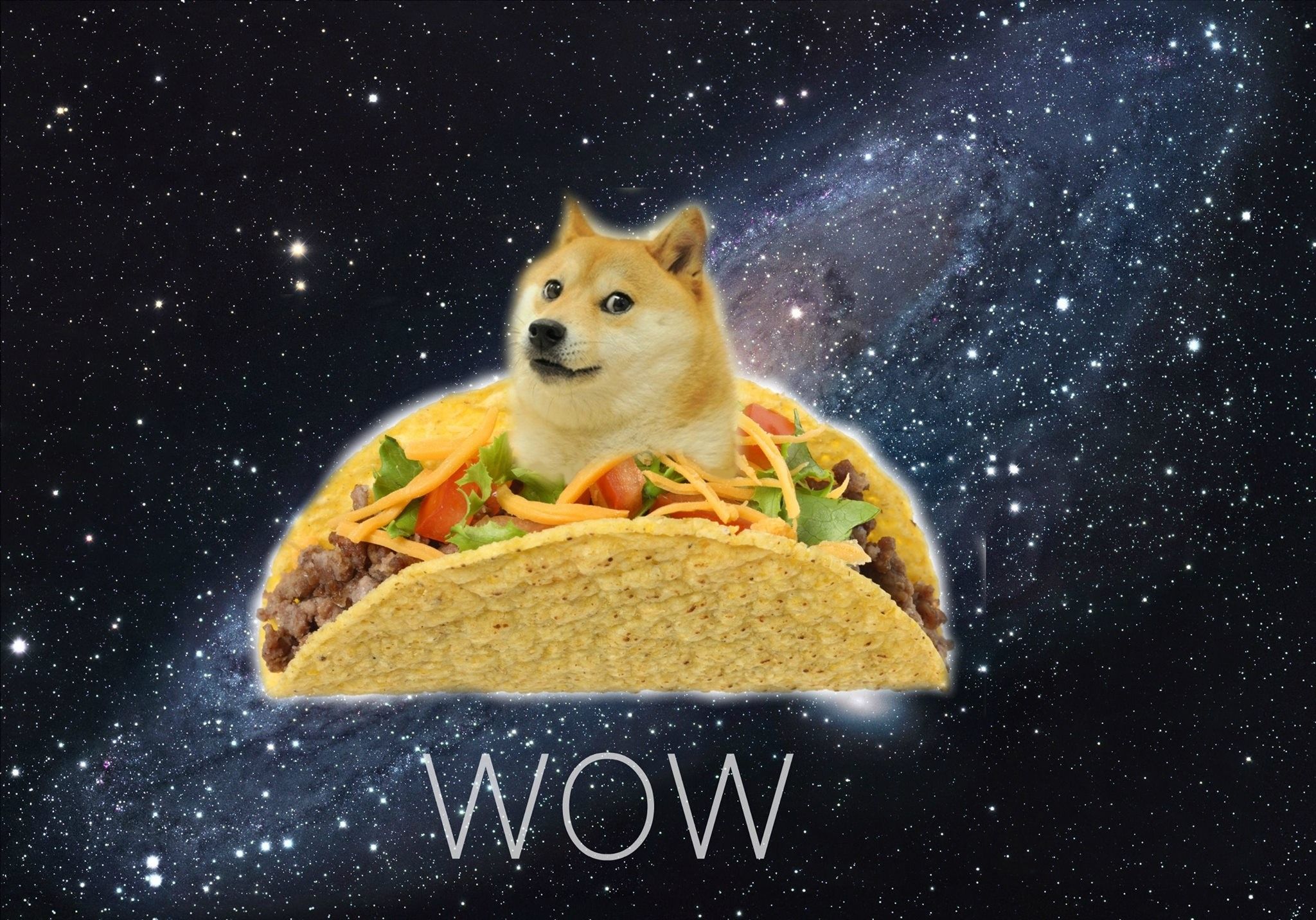 Doge Live Wallpapers