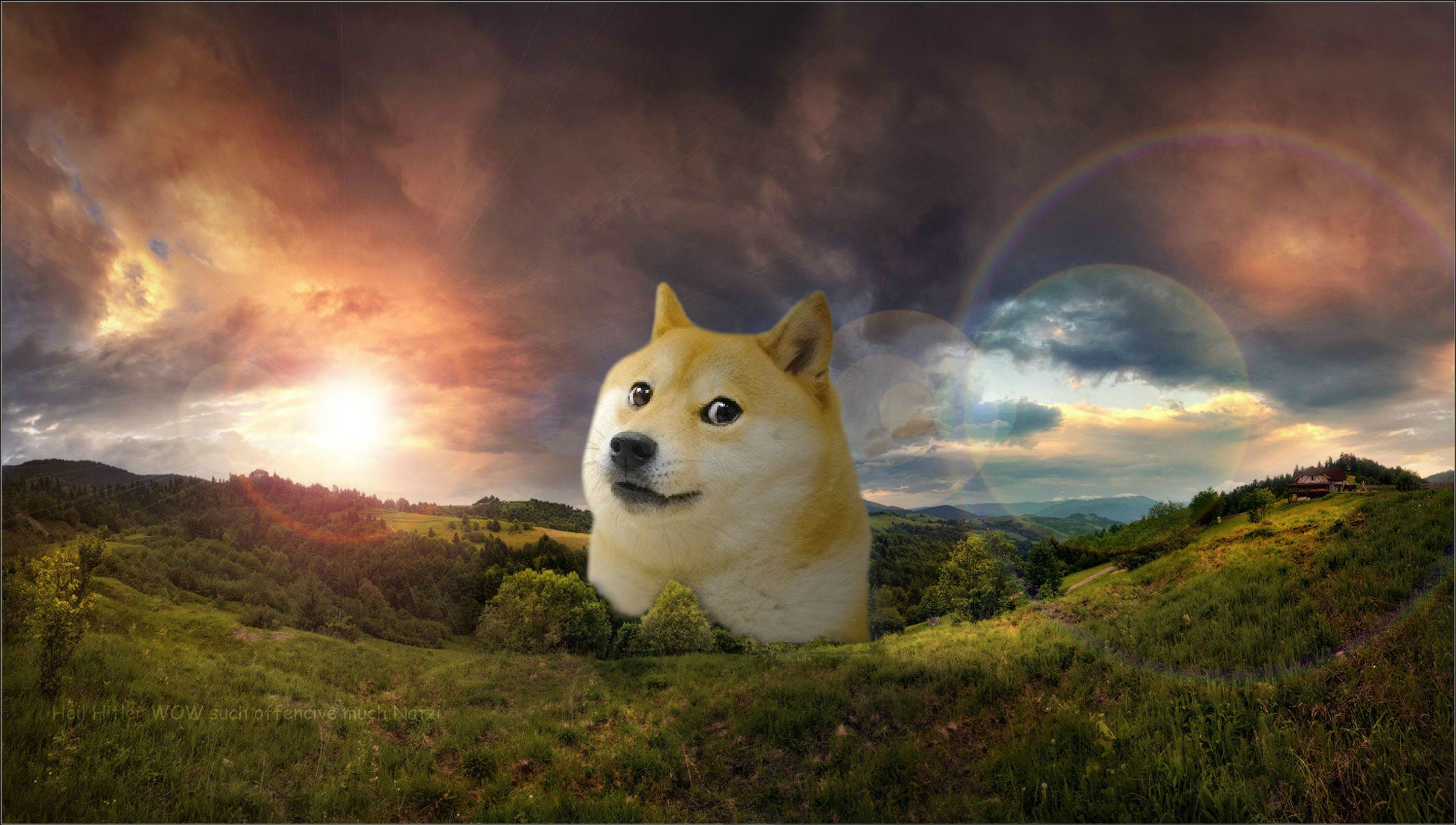 Doge Live Wallpapers