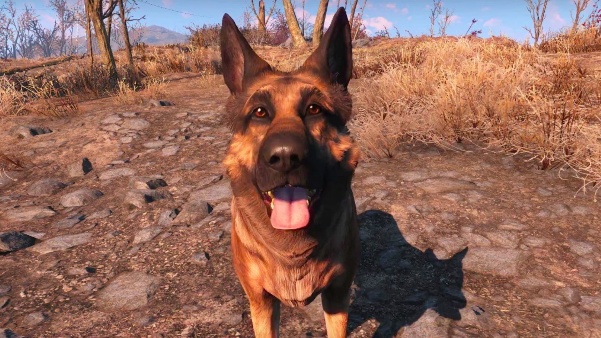 Dogmeat Wallpapers