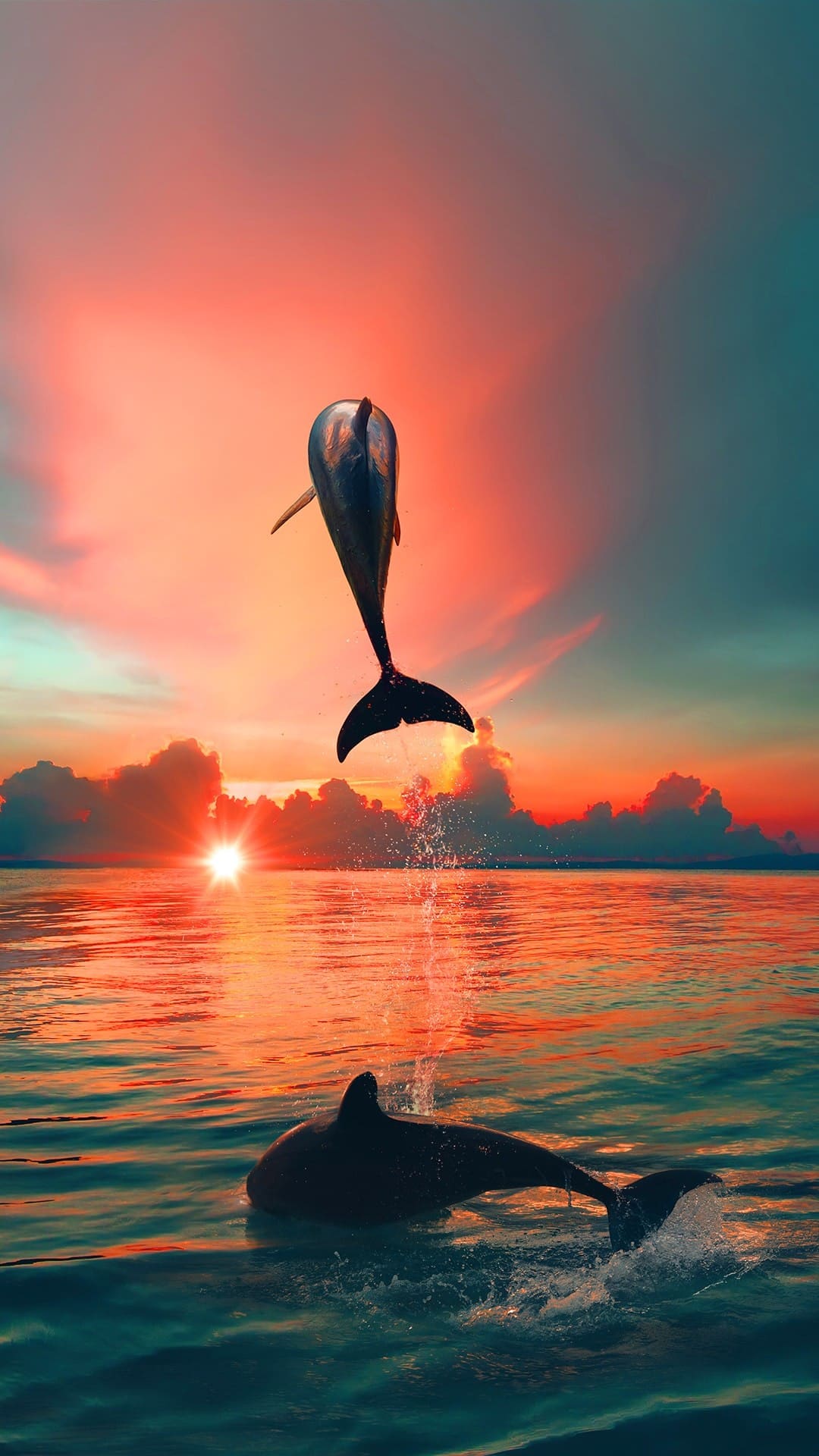 Dolphin 4K Wallpapers