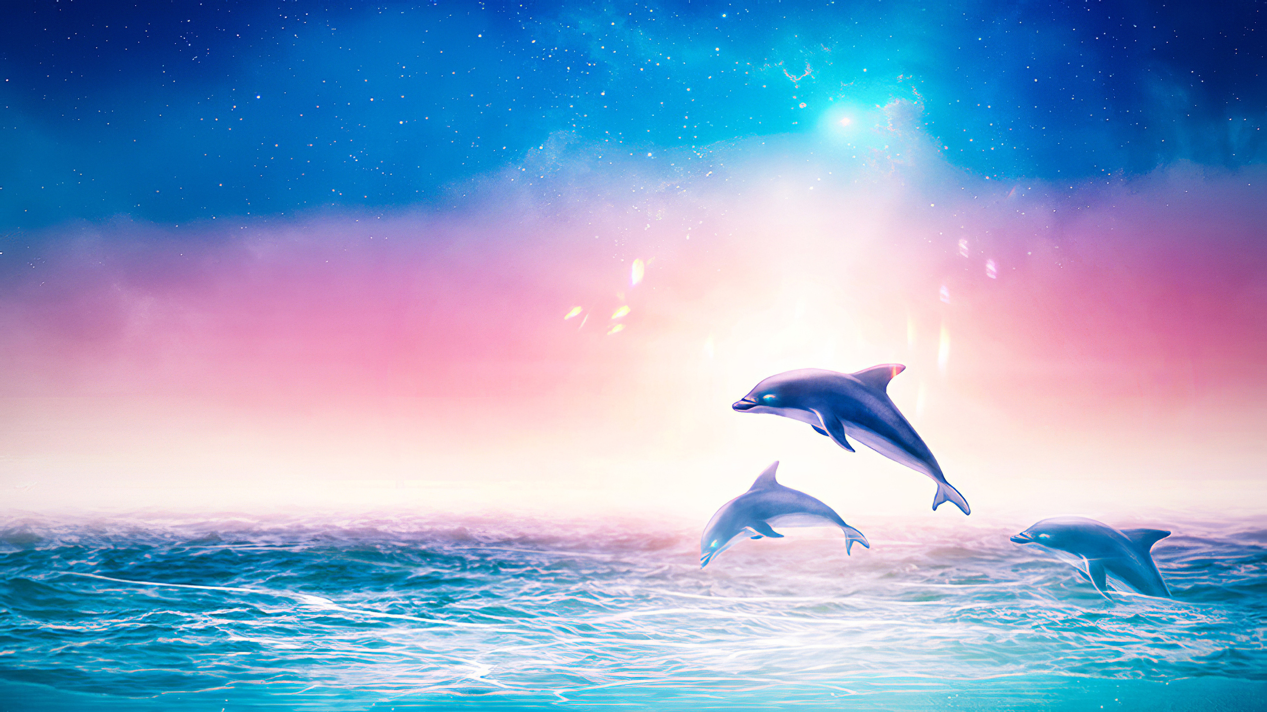 Dolphin Back Grounds Wallpapers