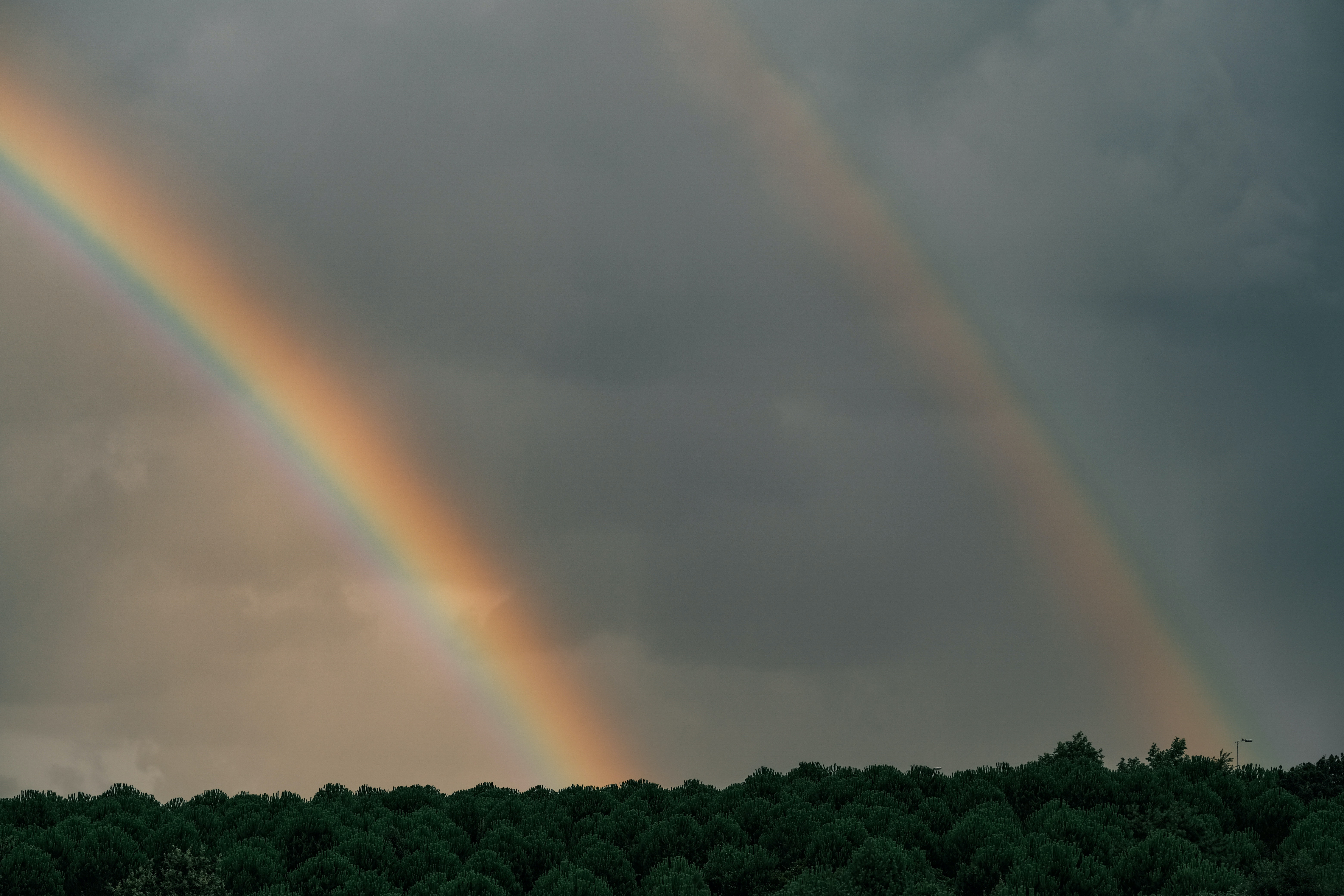 Double Rainbow Wallpapers