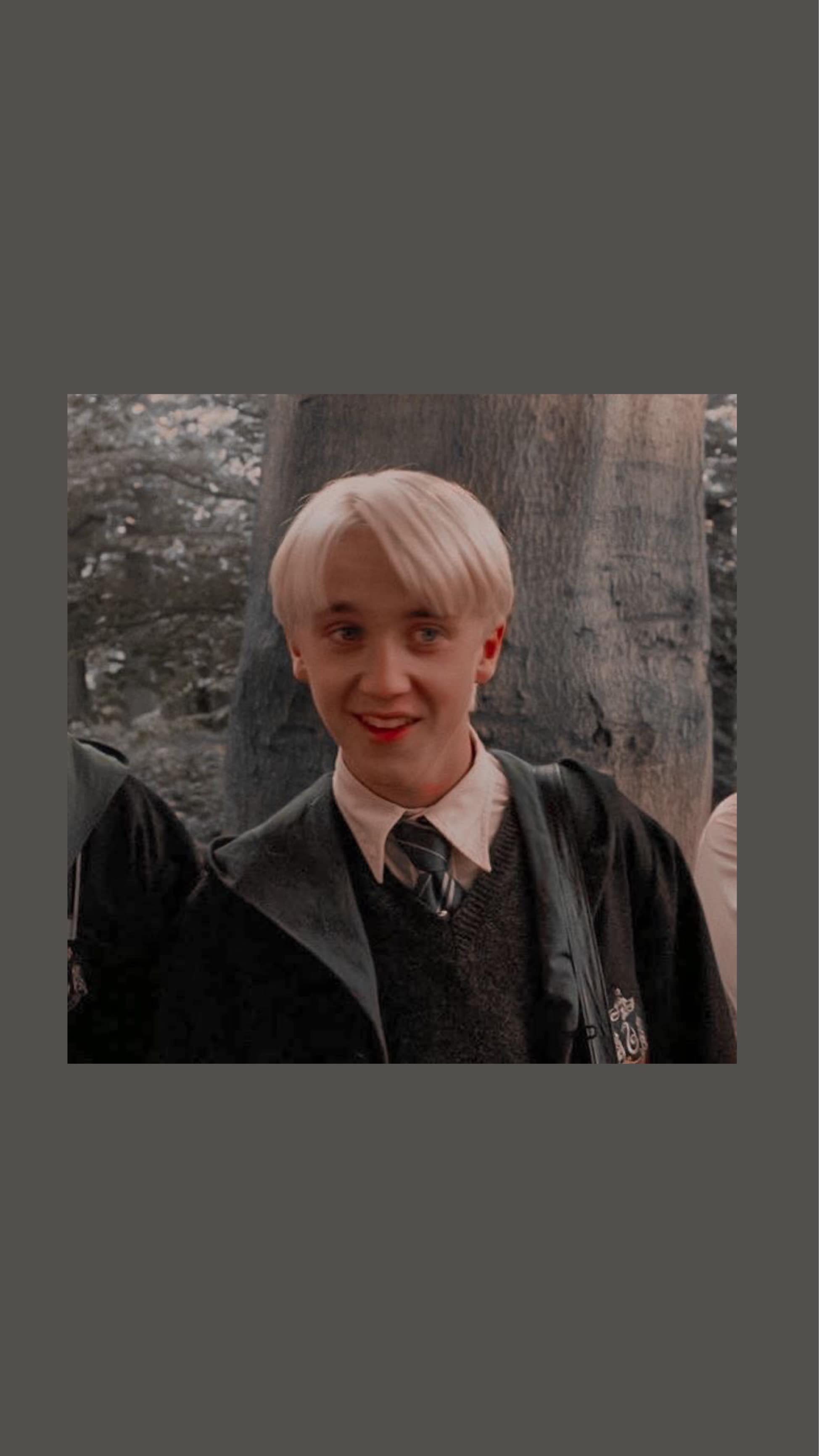 Draco Malfoy Aesthetic Wallpapers