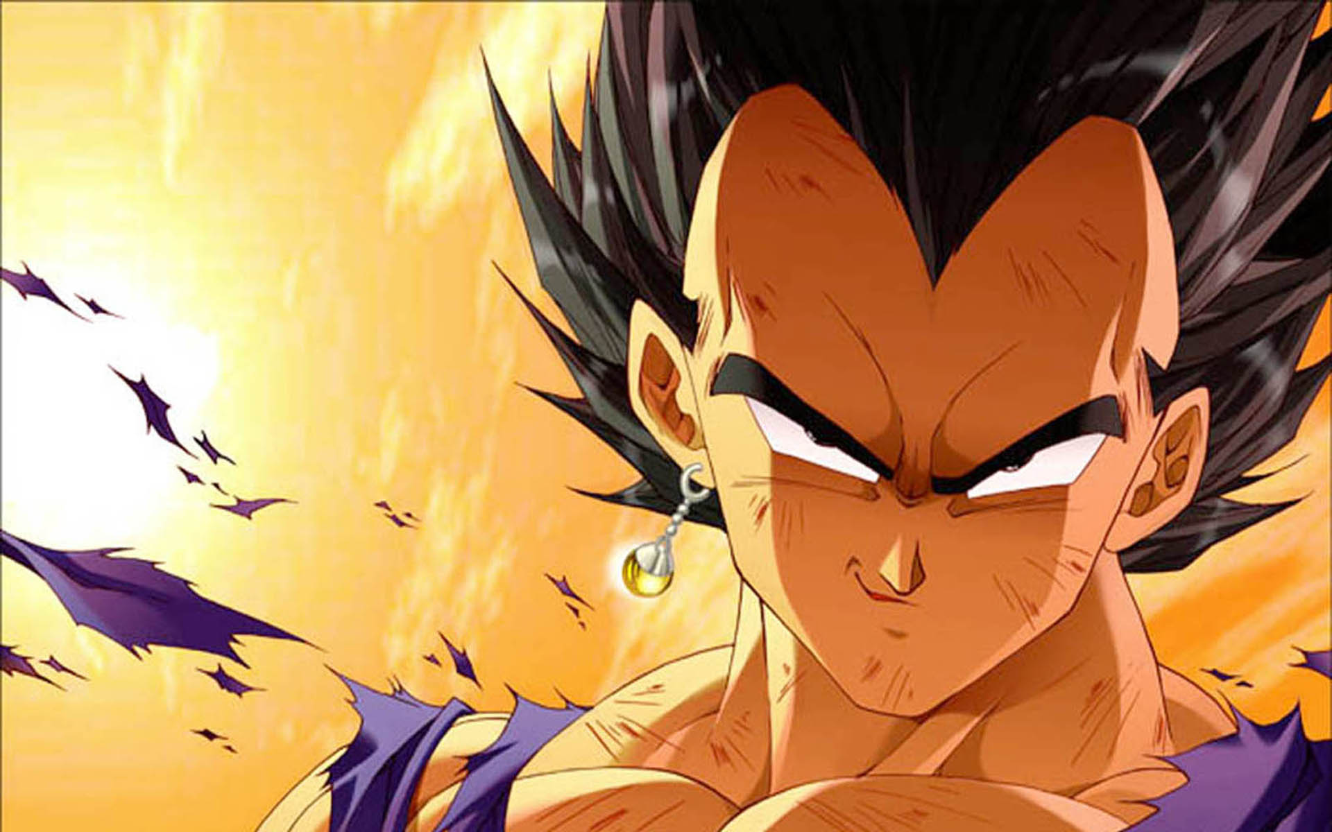 Dragon Ball Vegeta Wallpapers