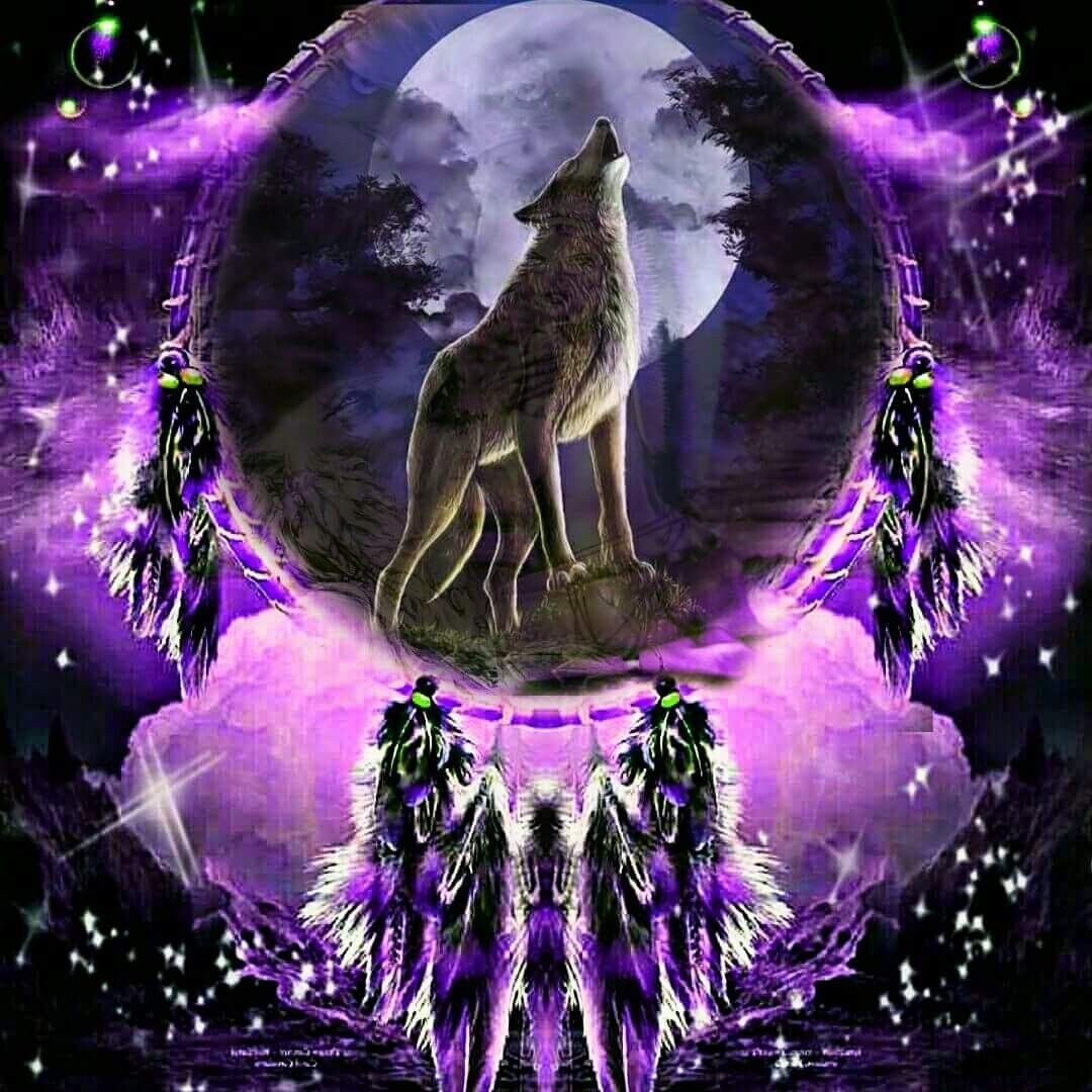 Dream Catcher Wolf Wallpapers