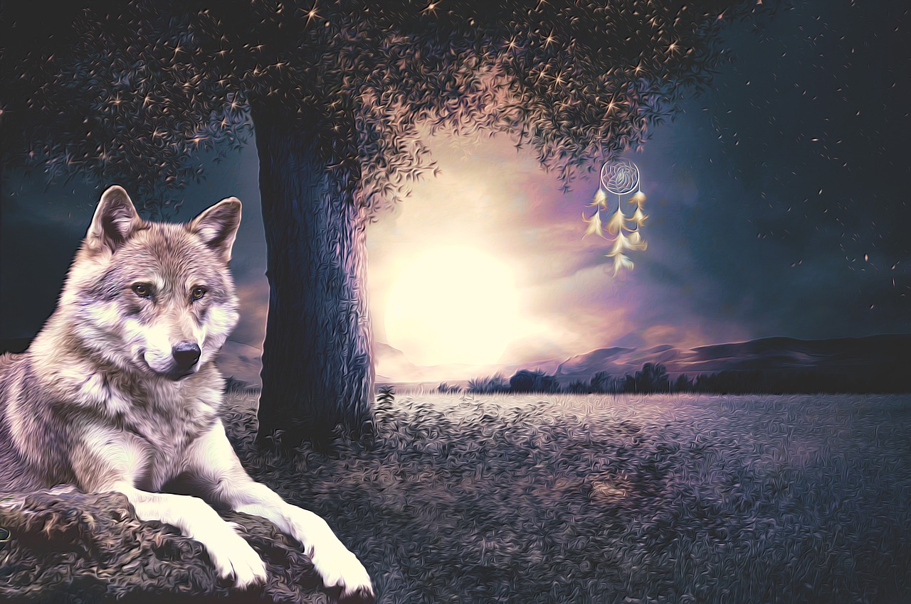 Dream Catcher Wolf Wallpapers