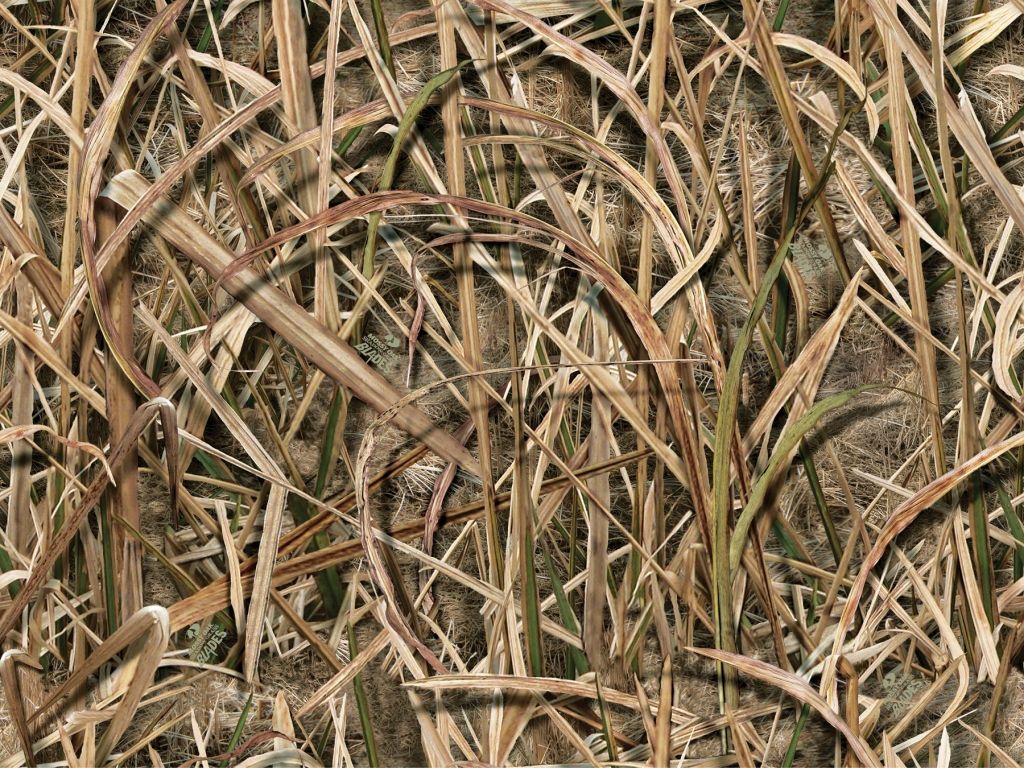 Duck Hunting Camo Wallpapers