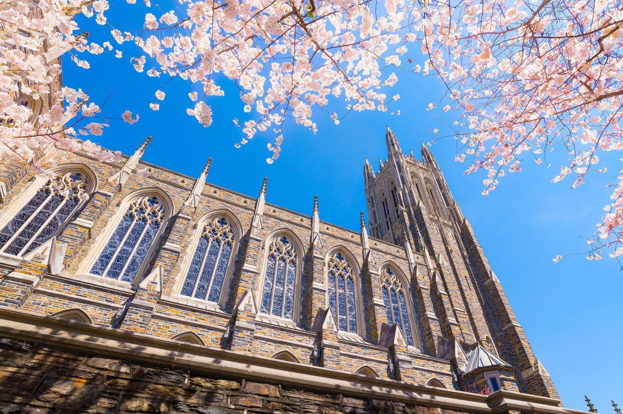 Duke University Wallpapers