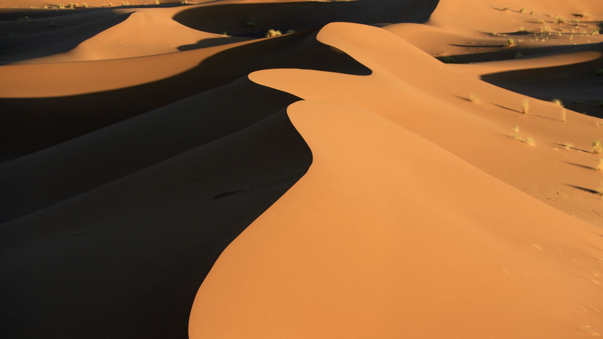 Dune 1920X1080 Wallpapers