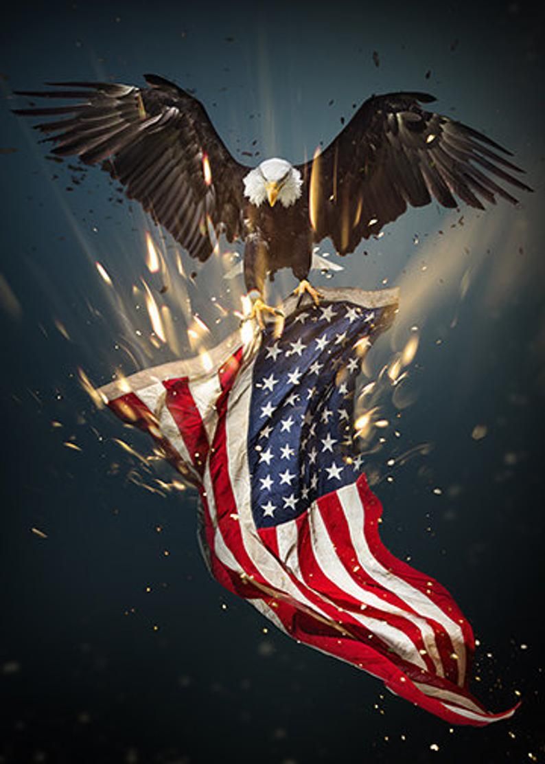 Eagle Usa Wallpapers