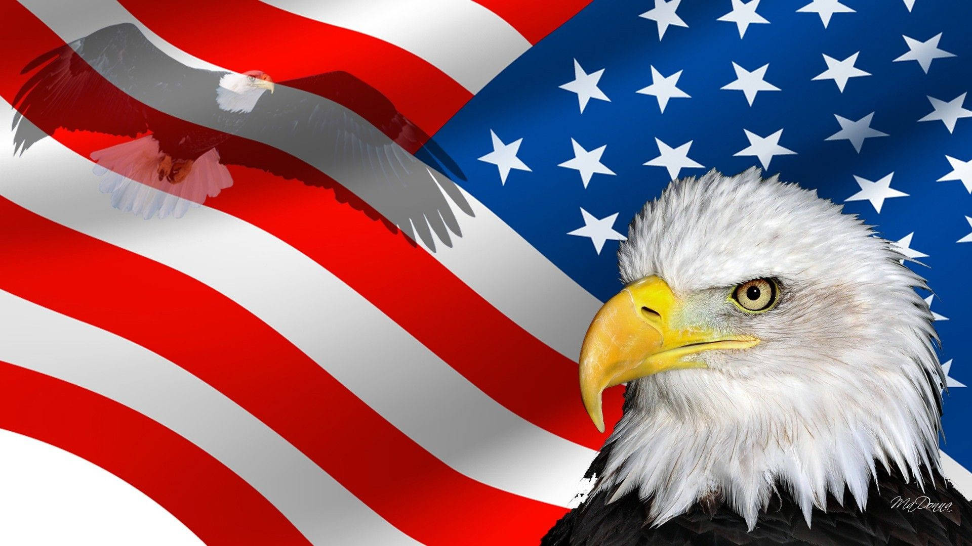 Eagle Usa Wallpapers