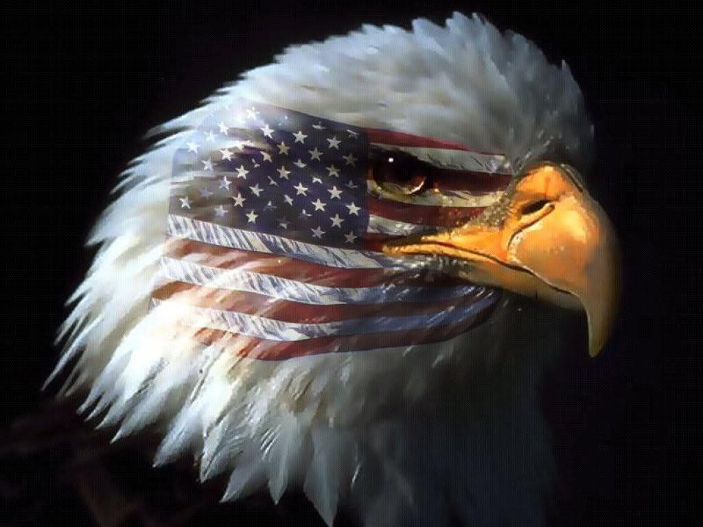 Eagle Usa Wallpapers