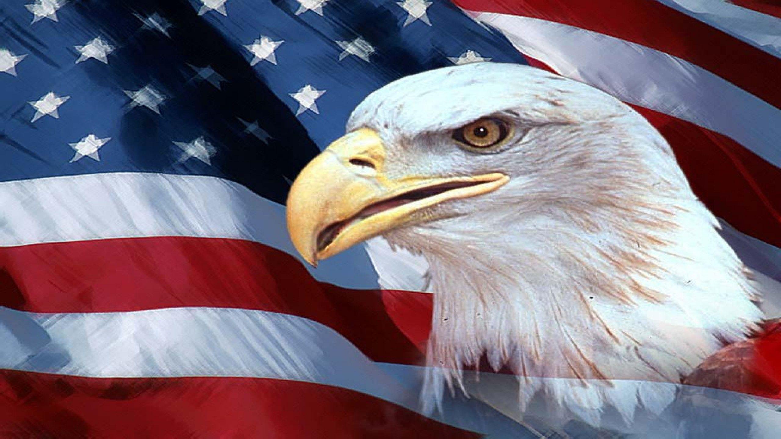 Eagle Usa Wallpapers