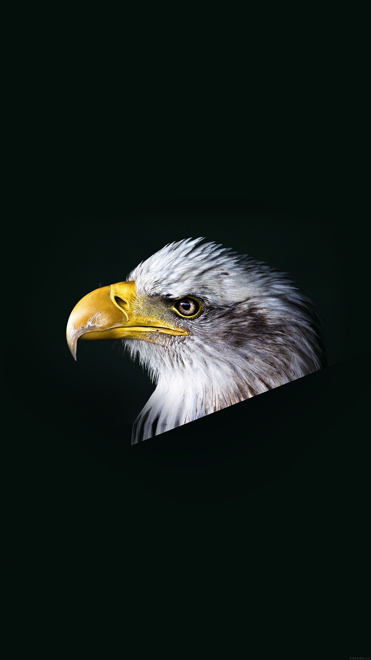 Eagle For Android Wallpapers