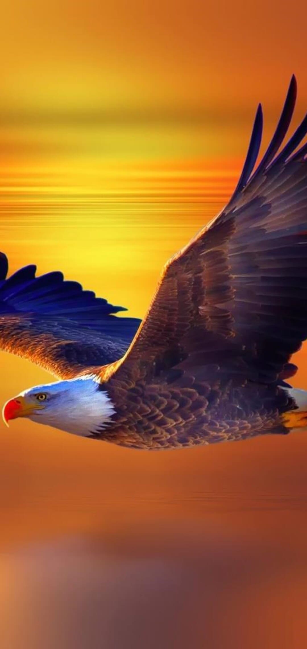 Eagle For Android Wallpapers