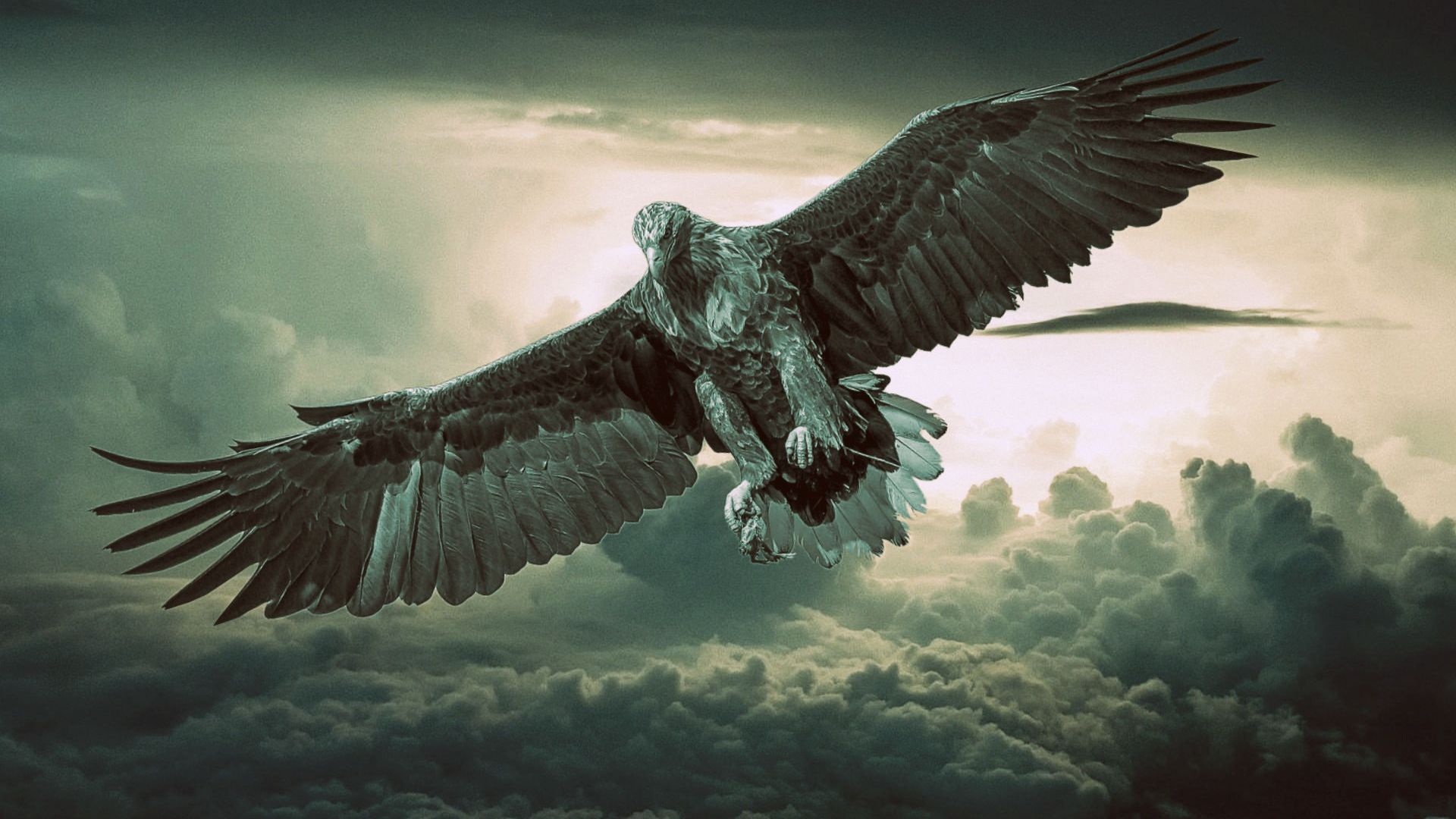 Eagle For Android Wallpapers