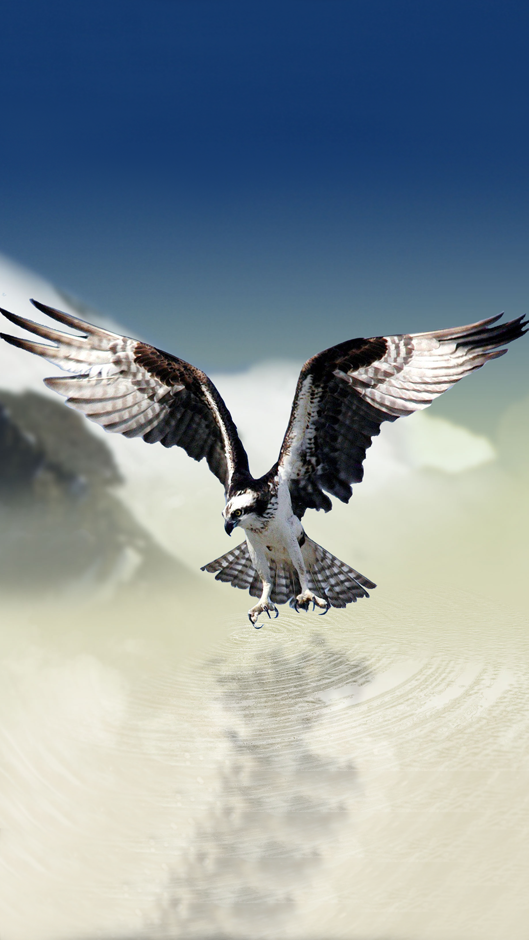 Eagle For Android Wallpapers