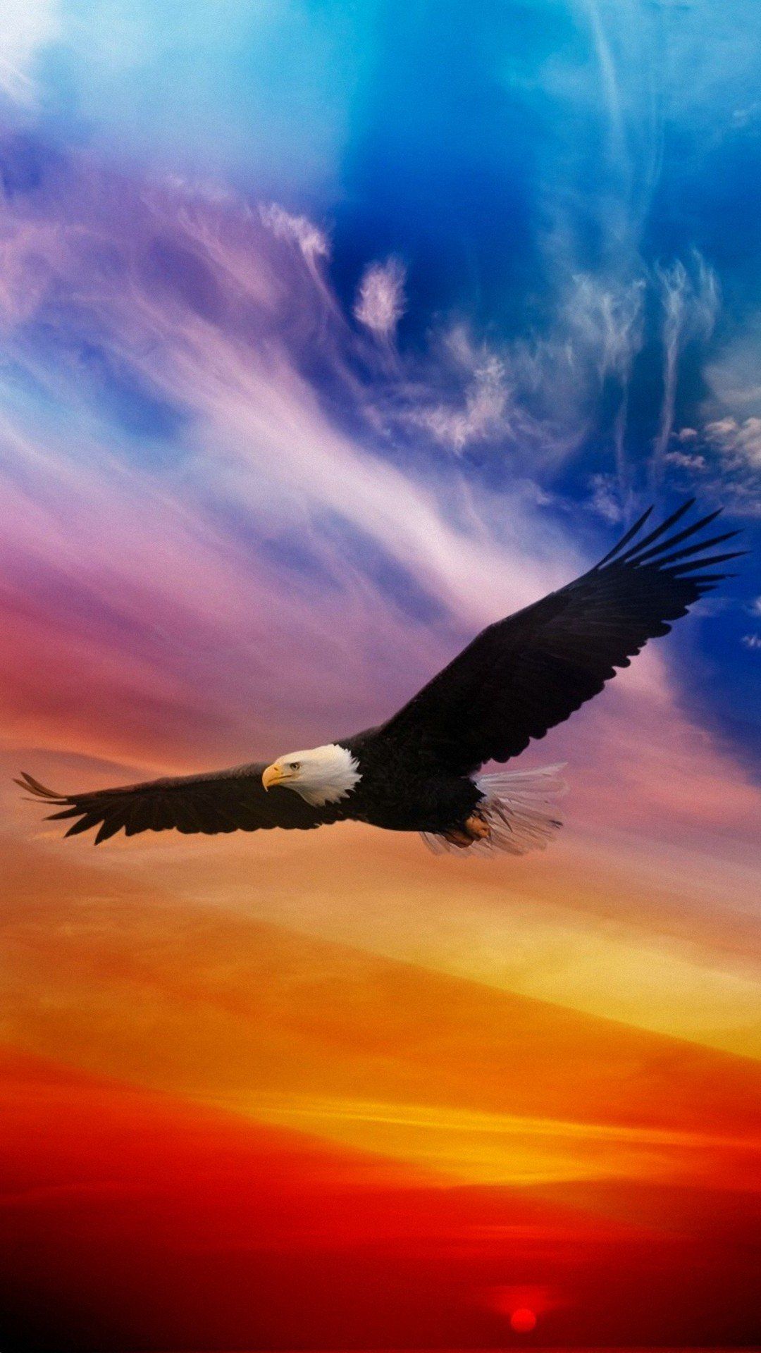 Eagle For Android Wallpapers