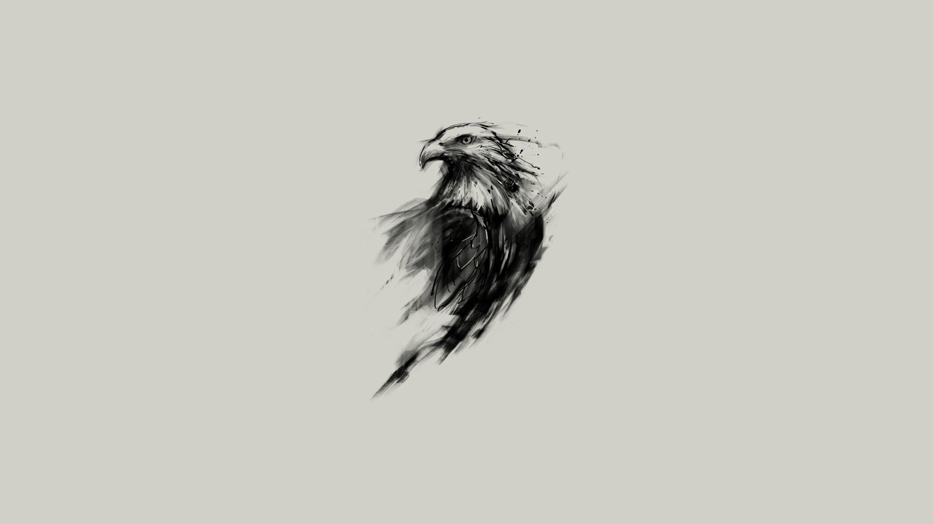 Eagle For Android Wallpapers