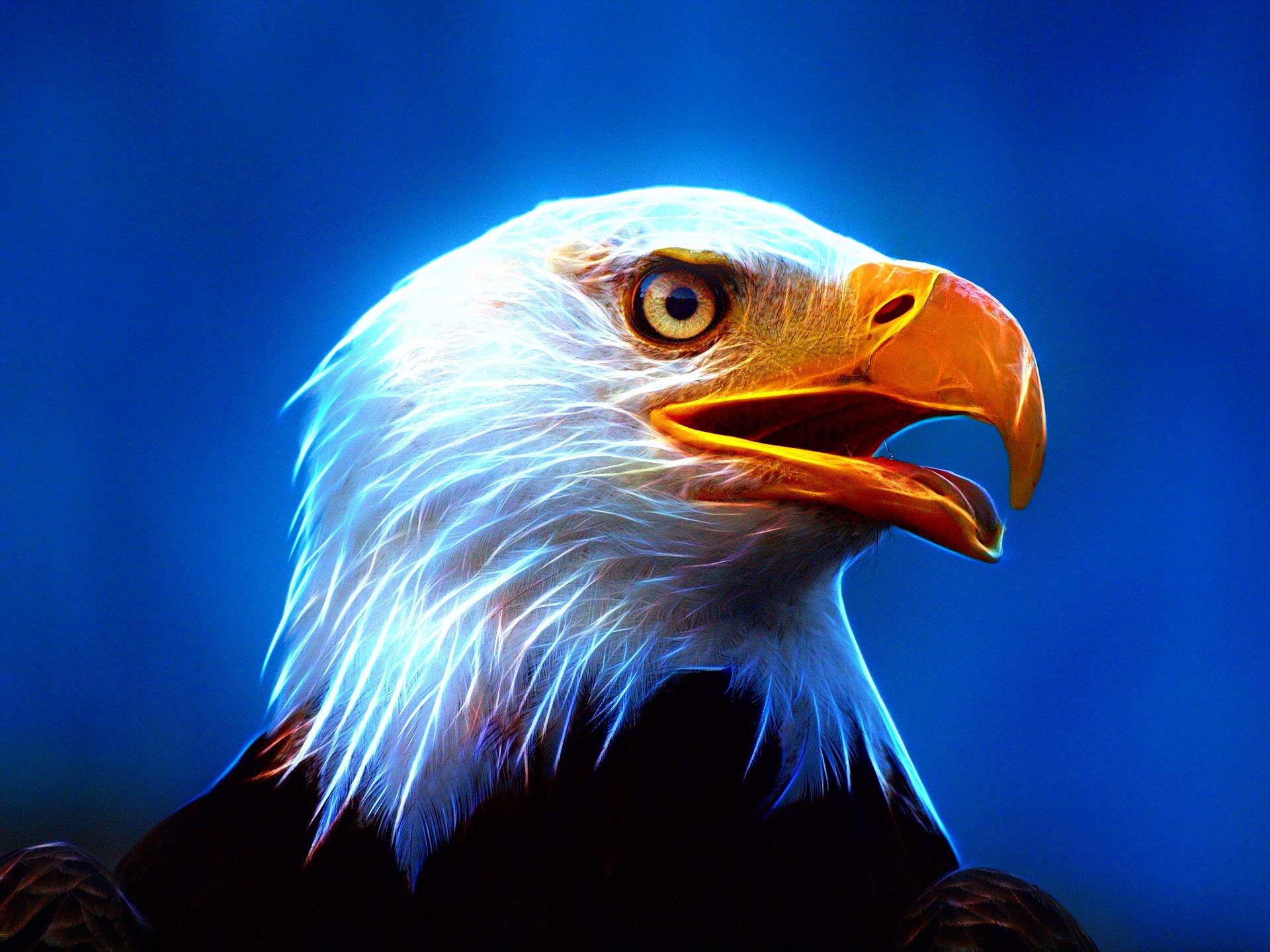 Eagle For Android Wallpapers