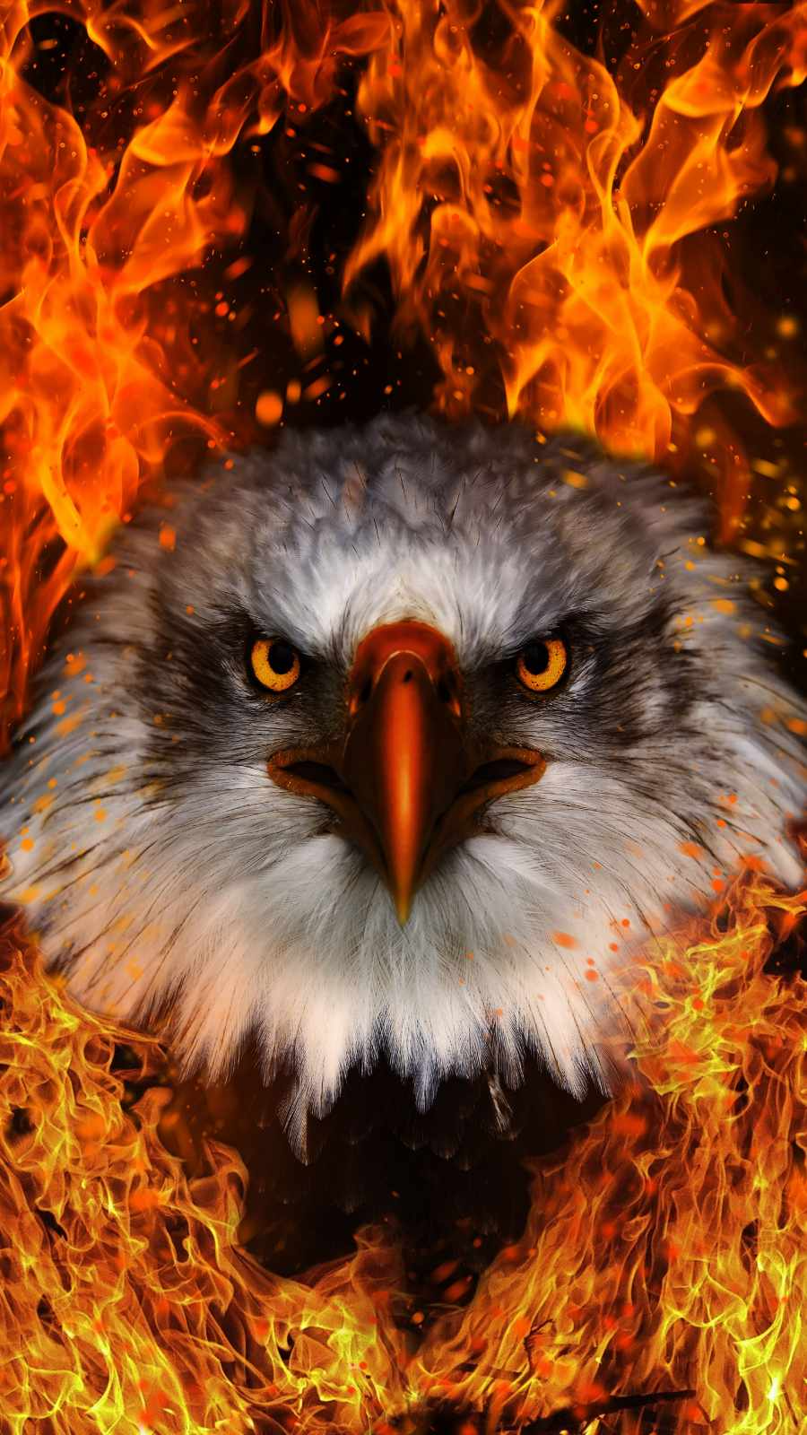 Eagle Iphone Wallpapers