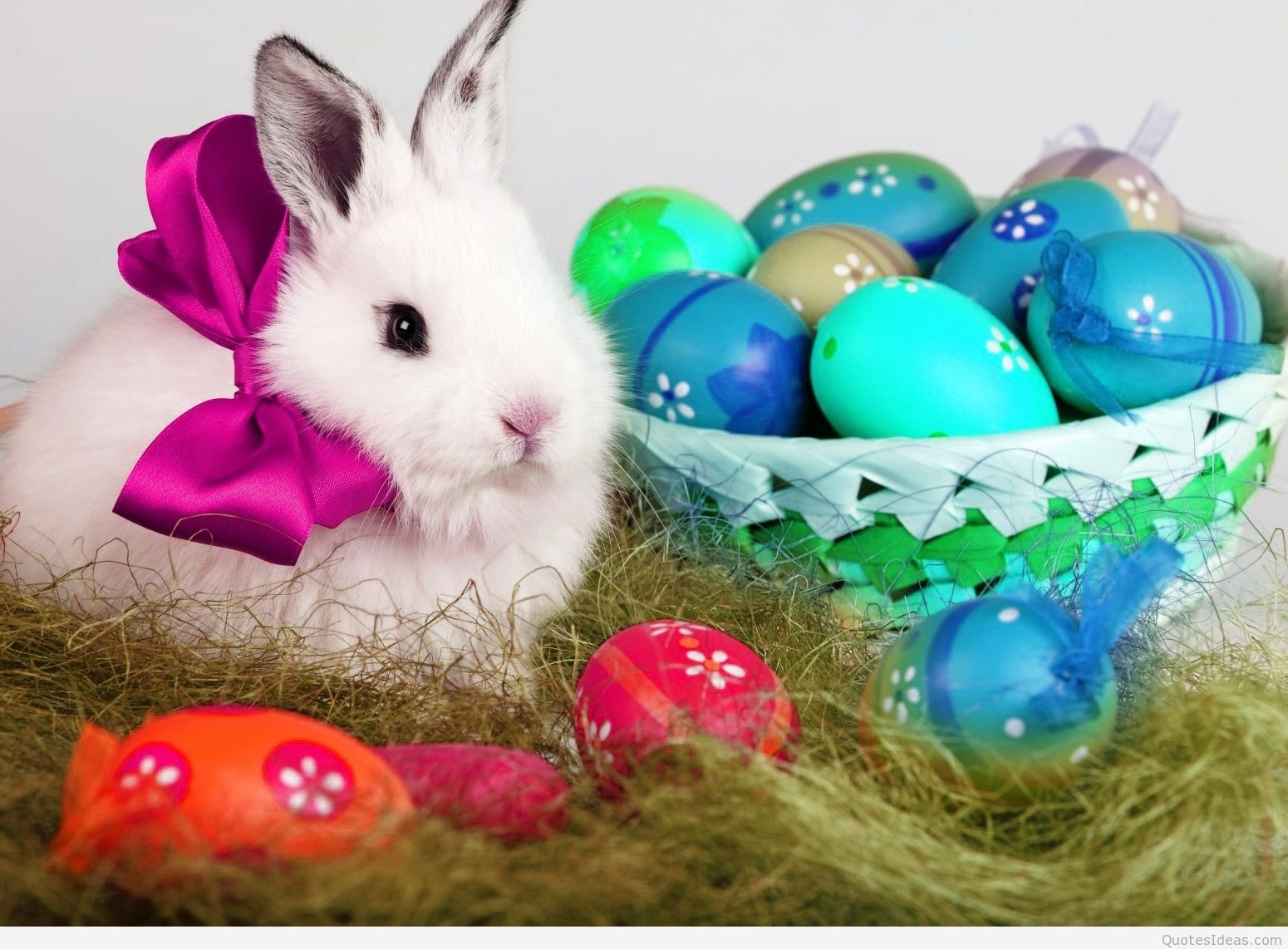 Easter Animal Images Wallpapers