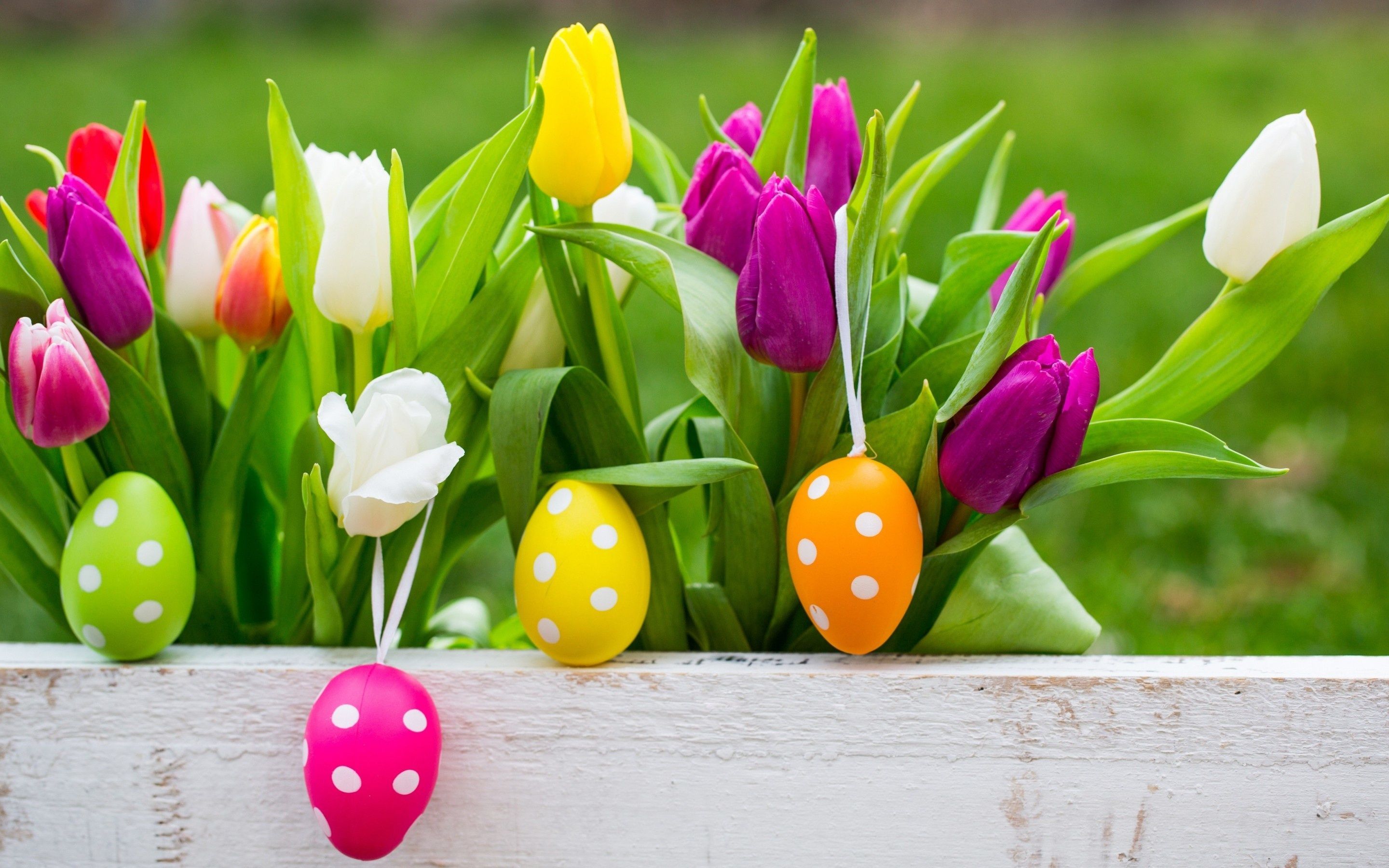 Easter Flowers Wallpapers