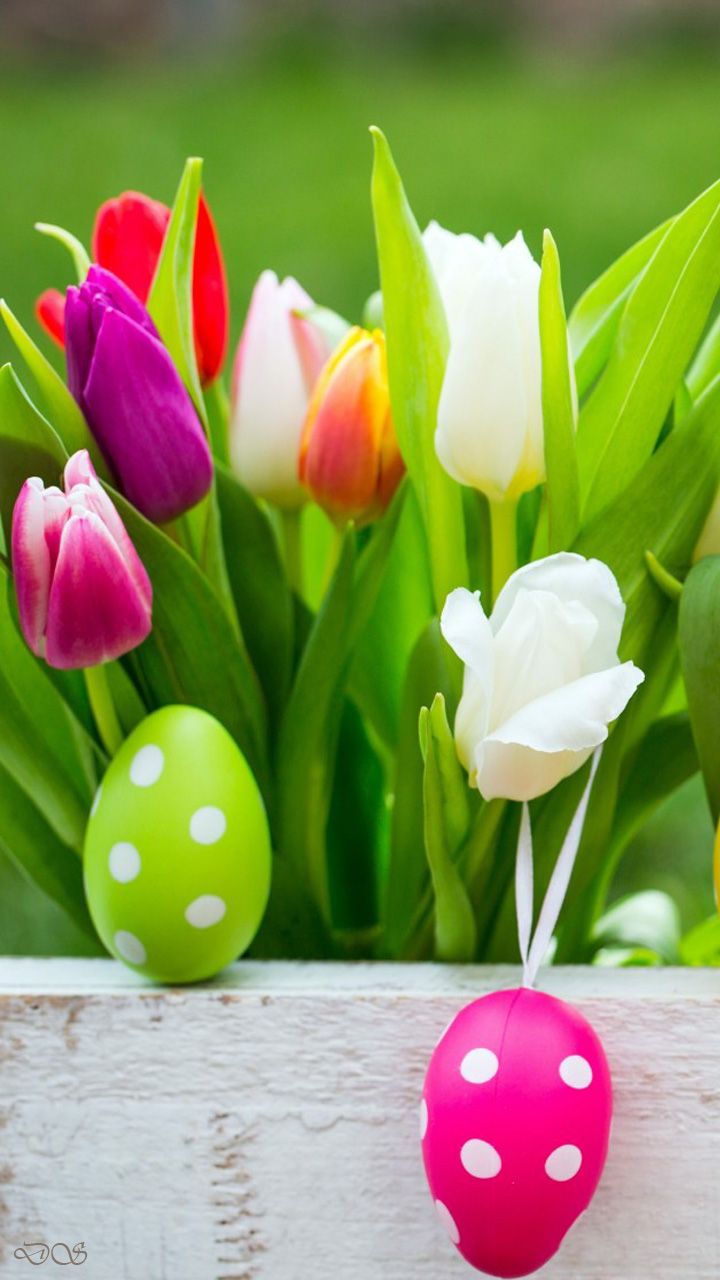 Easter Flowers Wallpapers