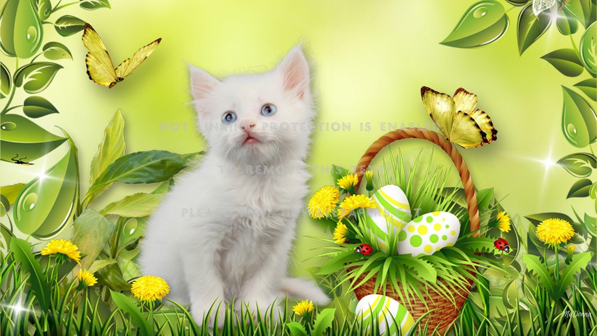 Easter Kittens Wallpapers