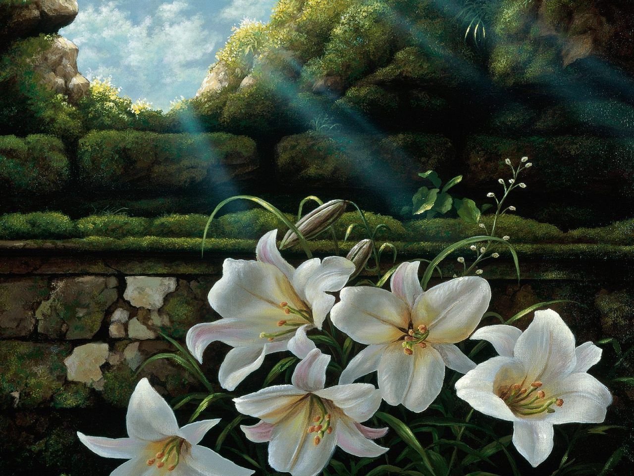 Easter Lily Wallpapers