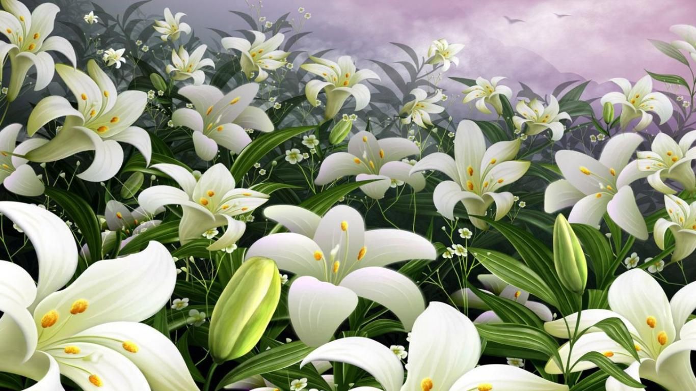 Easter Lily Wallpapers