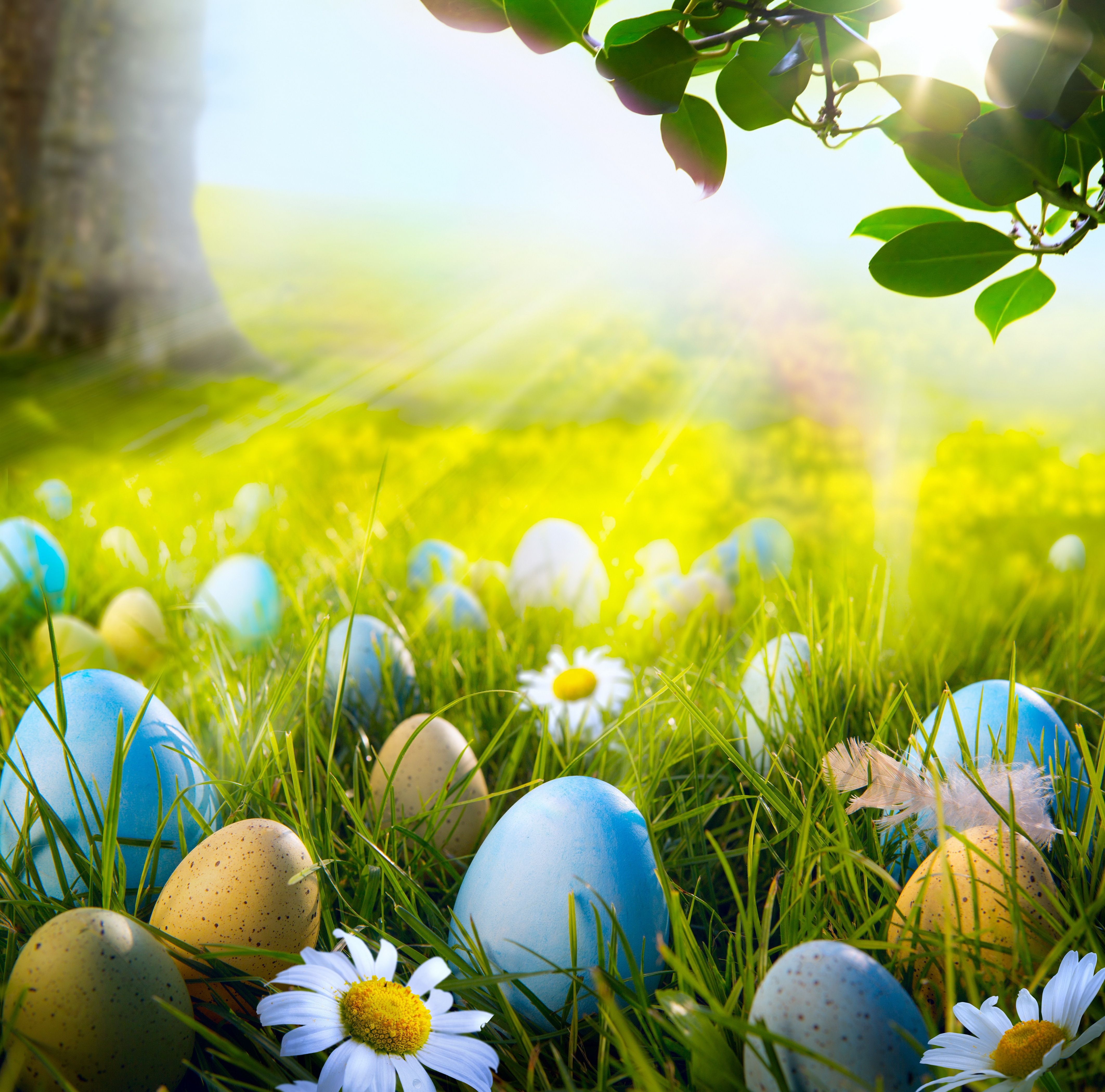 Easter Scenery Wallpapers