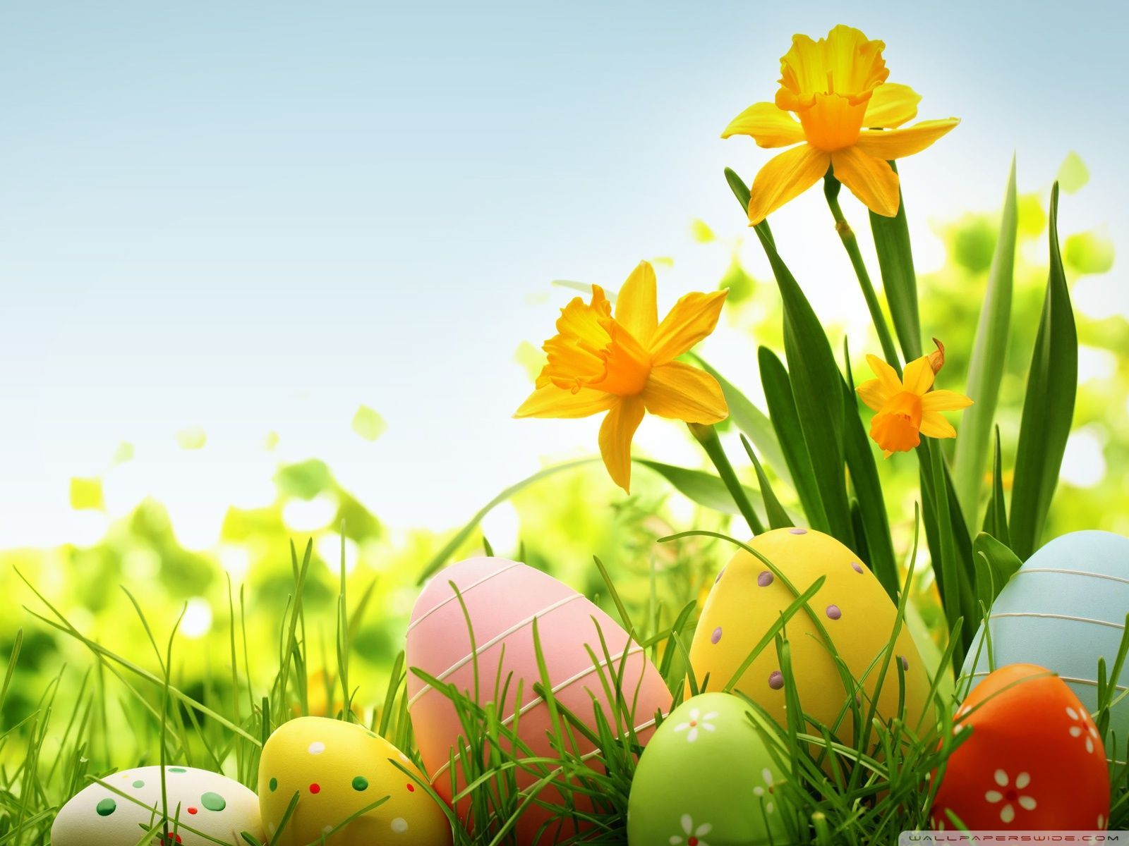 Easter Scenery Wallpapers