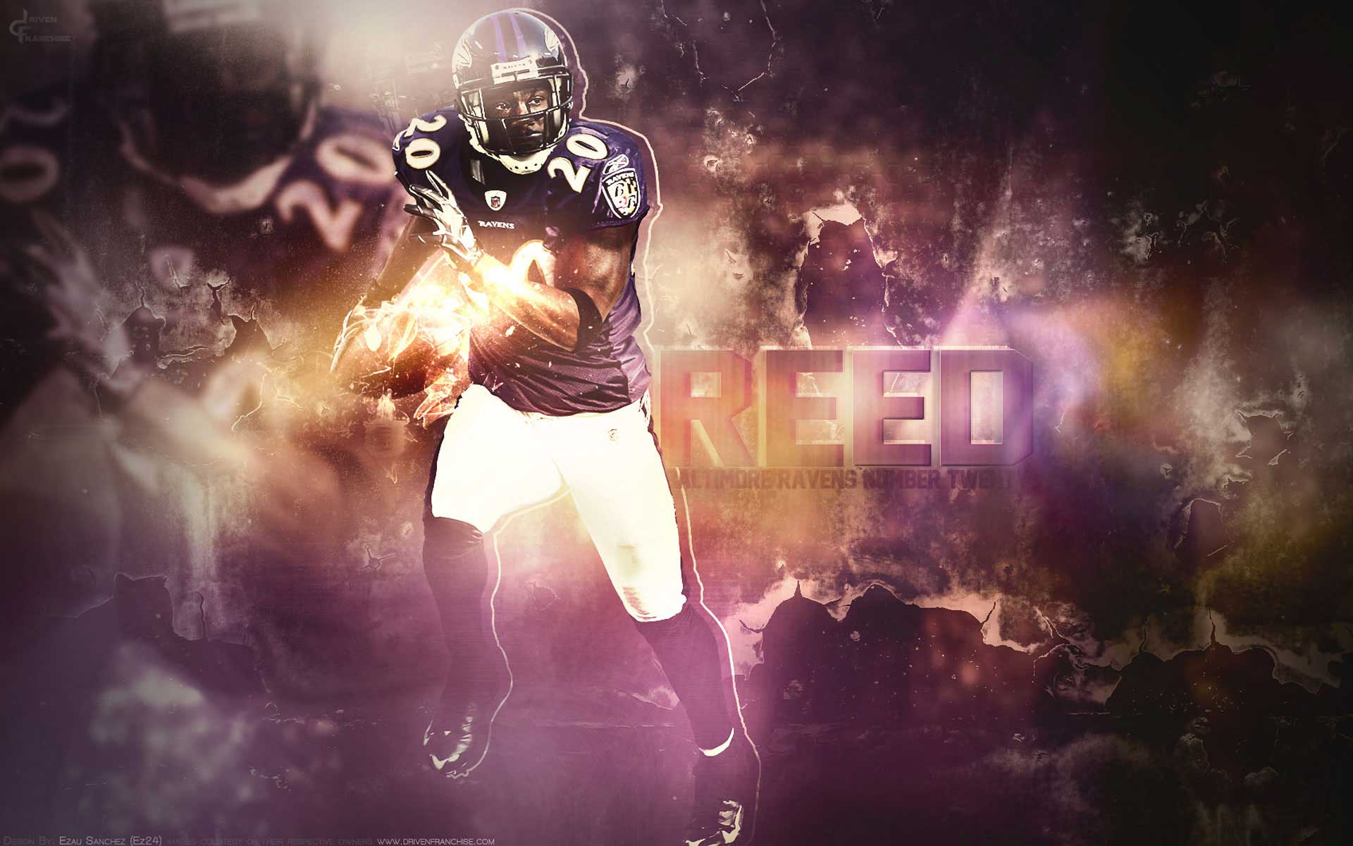 Ed Reed Wallpapers