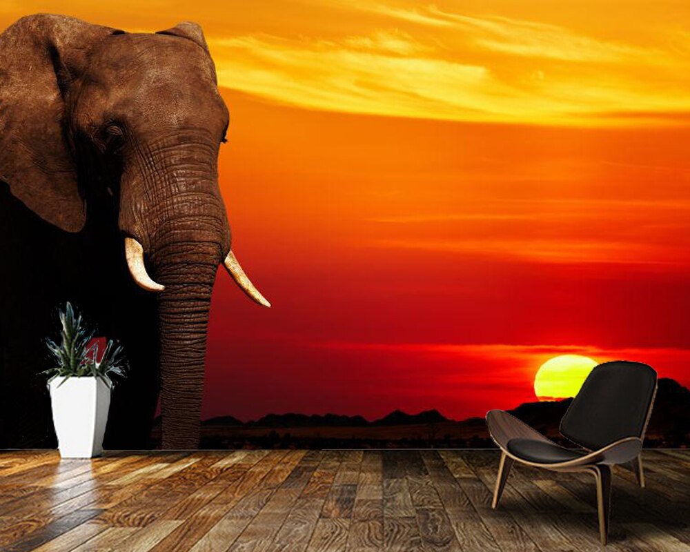 Elephant In Sunset Wallpapers