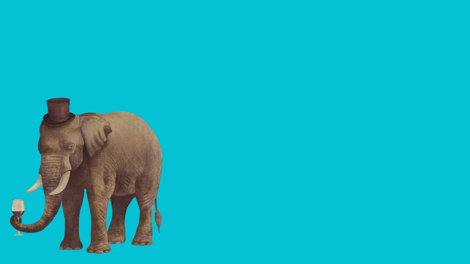 Elephant Minimalist Wallpapers