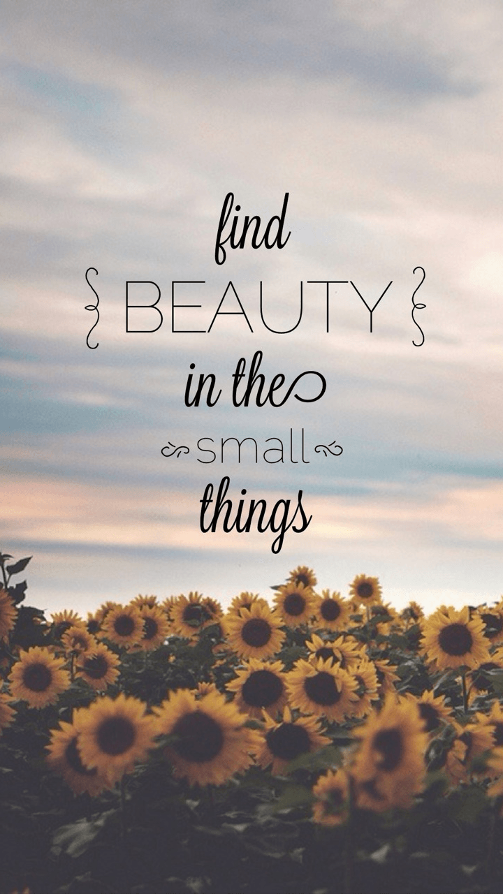 Enjoy The Little Things Wallpapers