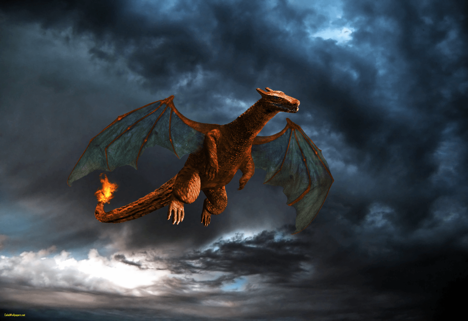 Epic Charizard Wallpapers