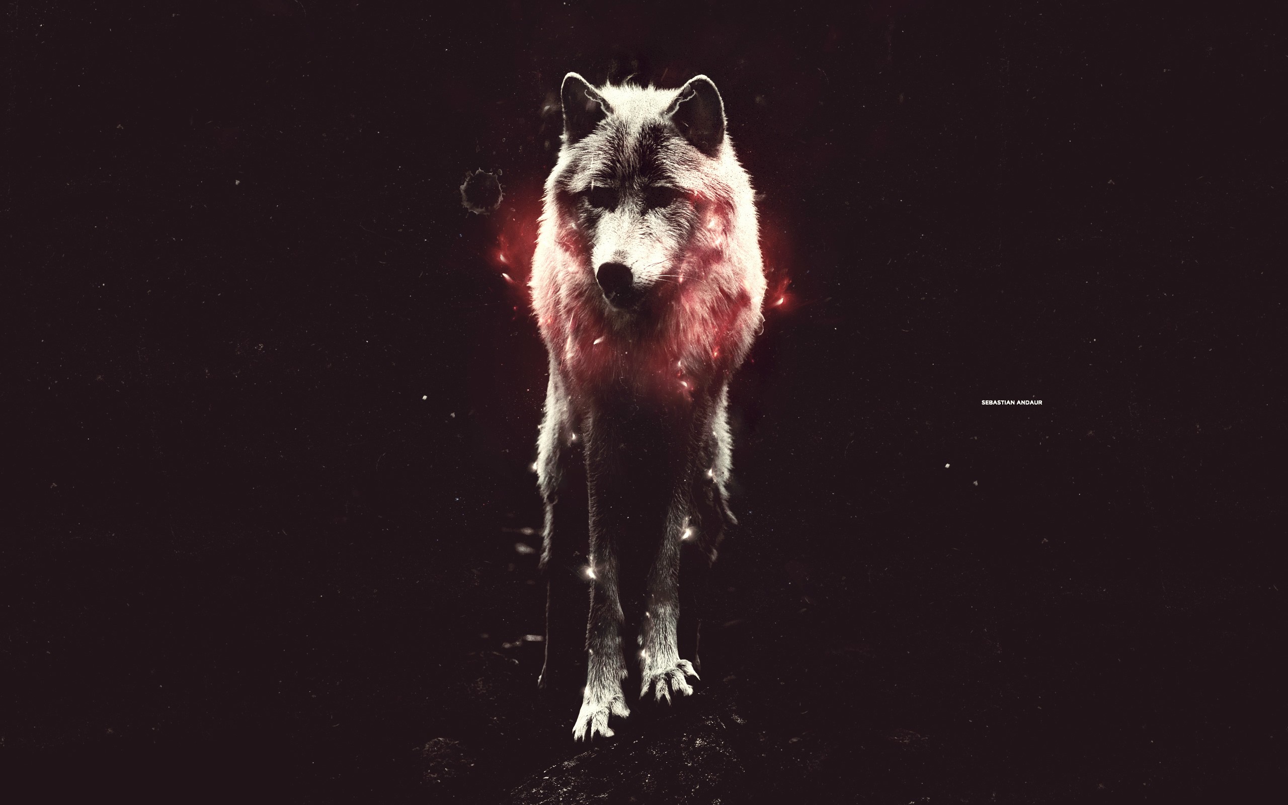 Epic Wolf Wallpapers