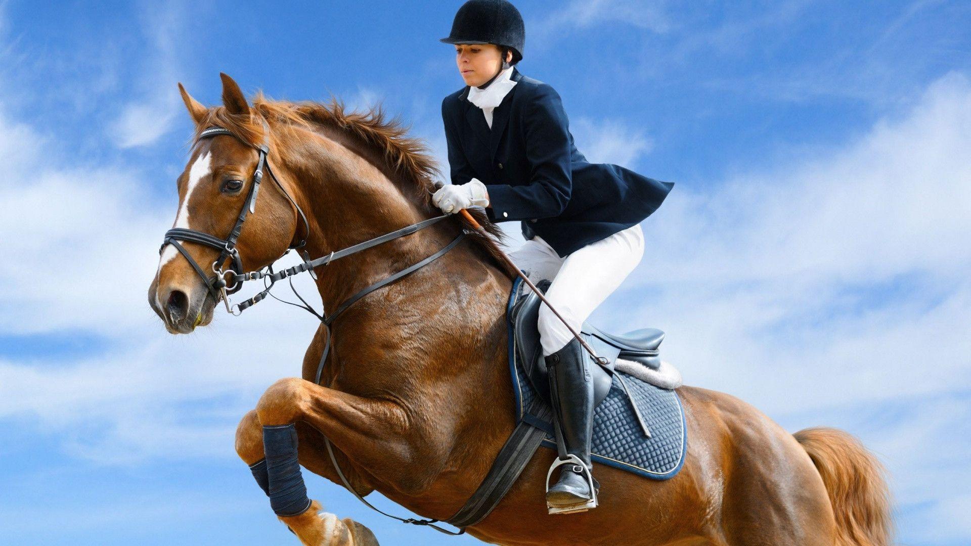 Equestrian Wallpapers