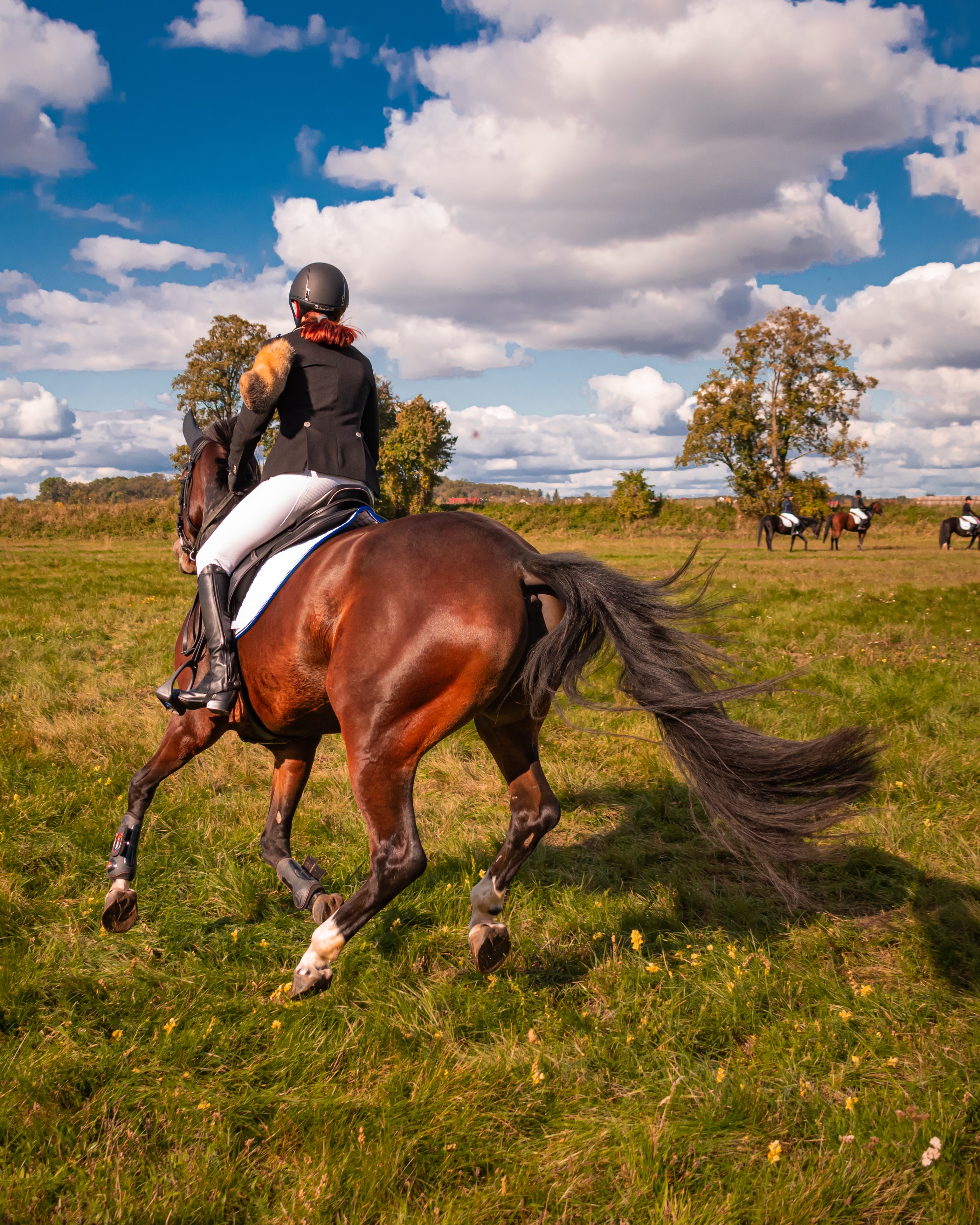 Equestrian Wallpapers