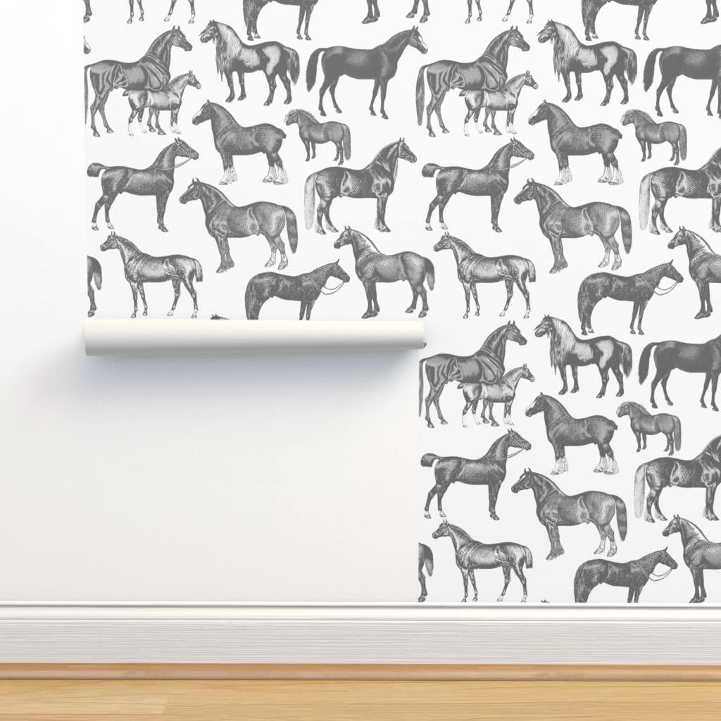 Equestrian Wallpapers